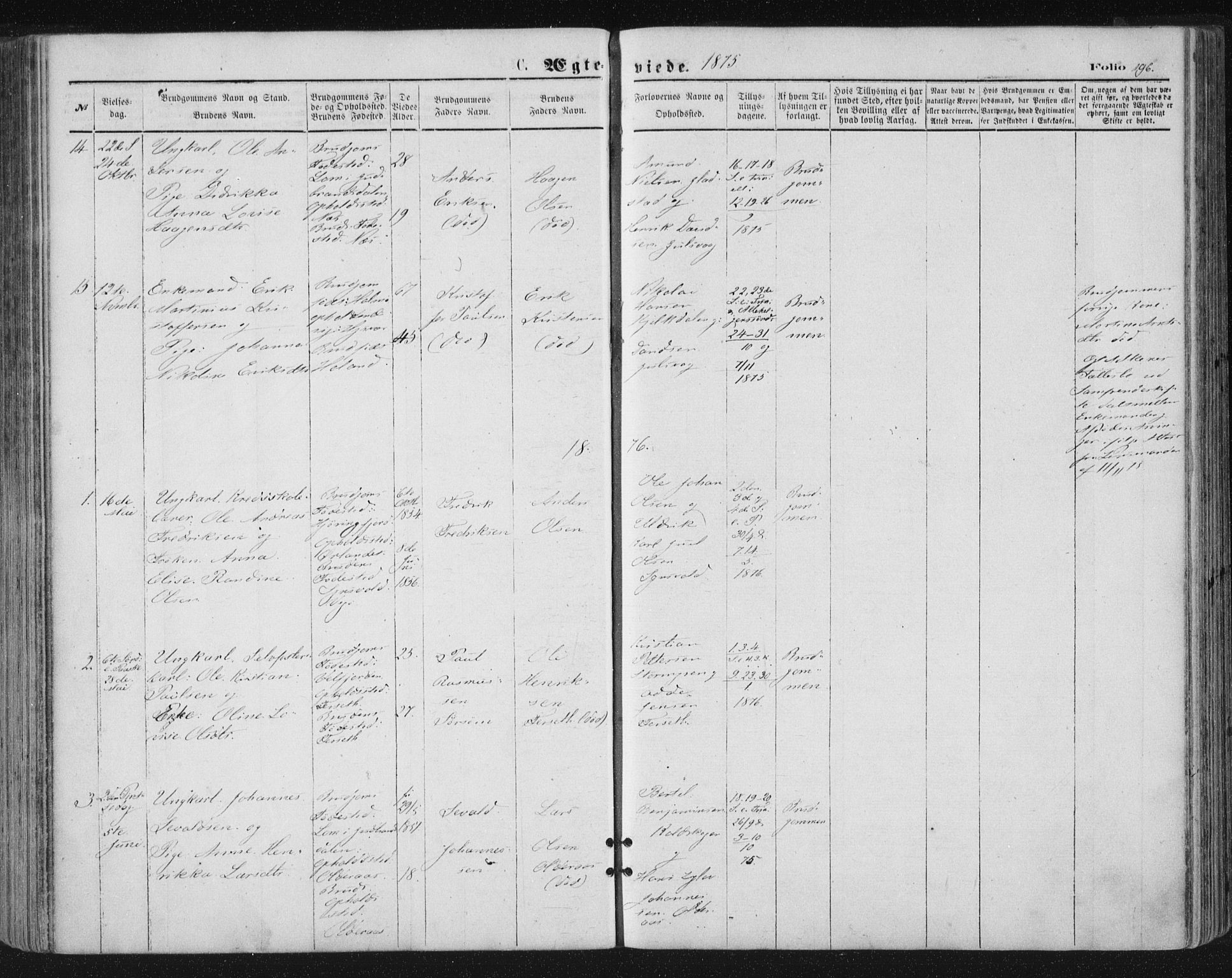 Ministerialprotokoller, klokkerbøker og fødselsregistre - Nordland, AV/SAT-A-1459/816/L0241: Ministerialbok nr. 816A07, 1870-1885, s. 196
