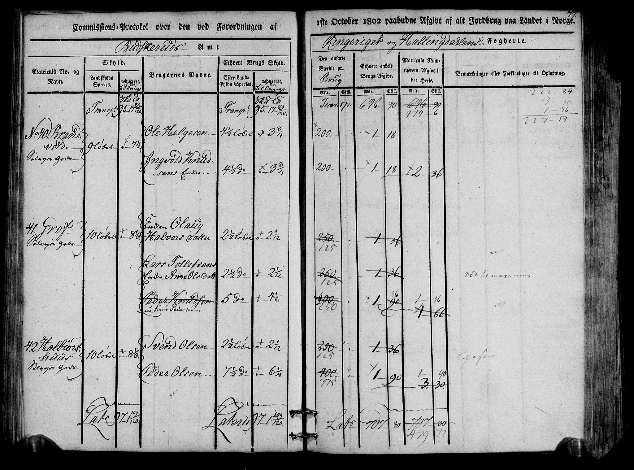 Rentekammeret inntil 1814, Realistisk ordnet avdeling, AV/RA-EA-4070/N/Ne/Nea/L0047: Ringerike og Hallingdal fogderi. Kommisjonsprotokoll for Nes prestegjeld, 1803, s. 80