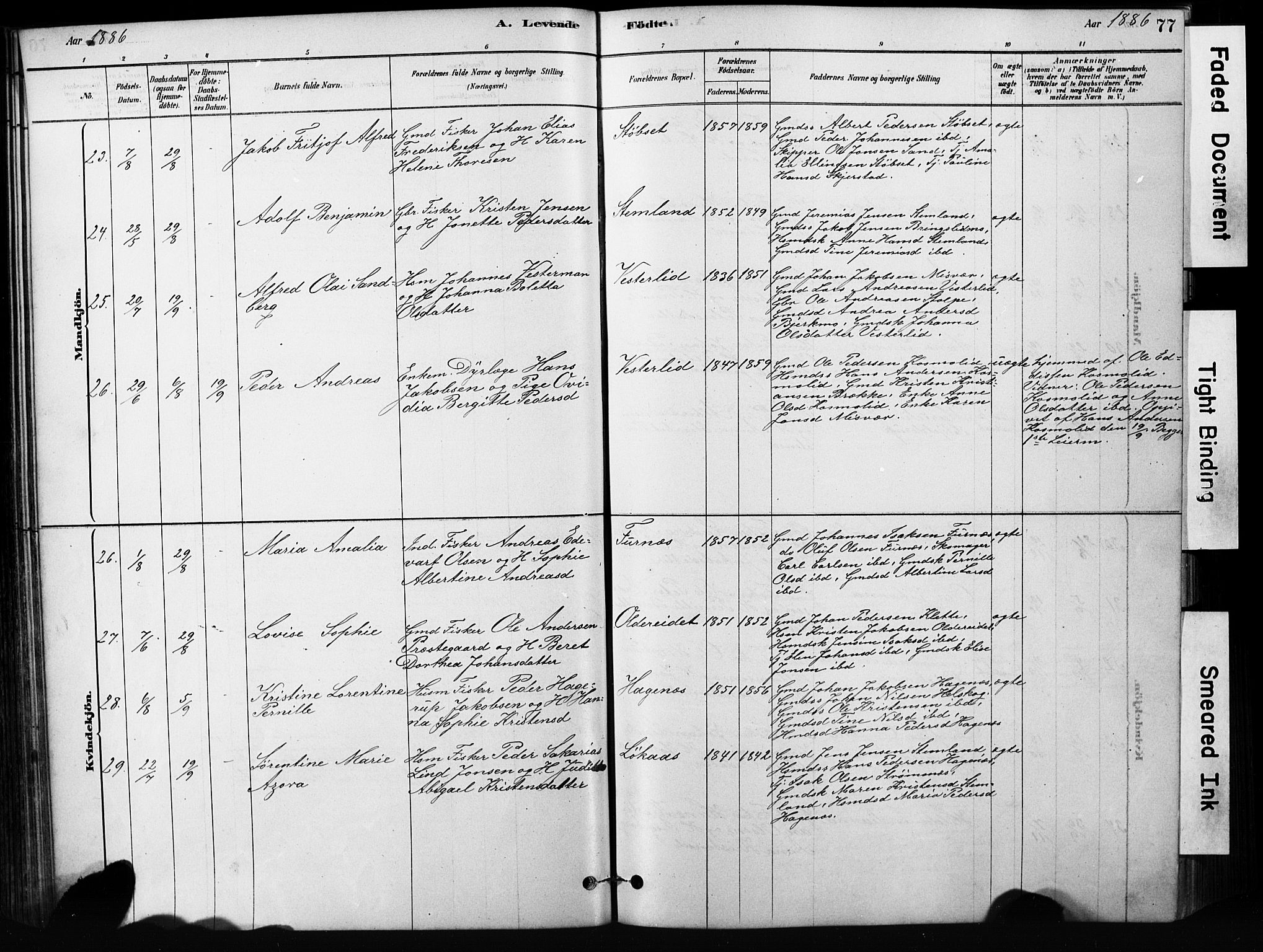 Ministerialprotokoller, klokkerbøker og fødselsregistre - Nordland, SAT/A-1459/852/L0754: Klokkerbok nr. 852C05, 1878-1894, s. 77