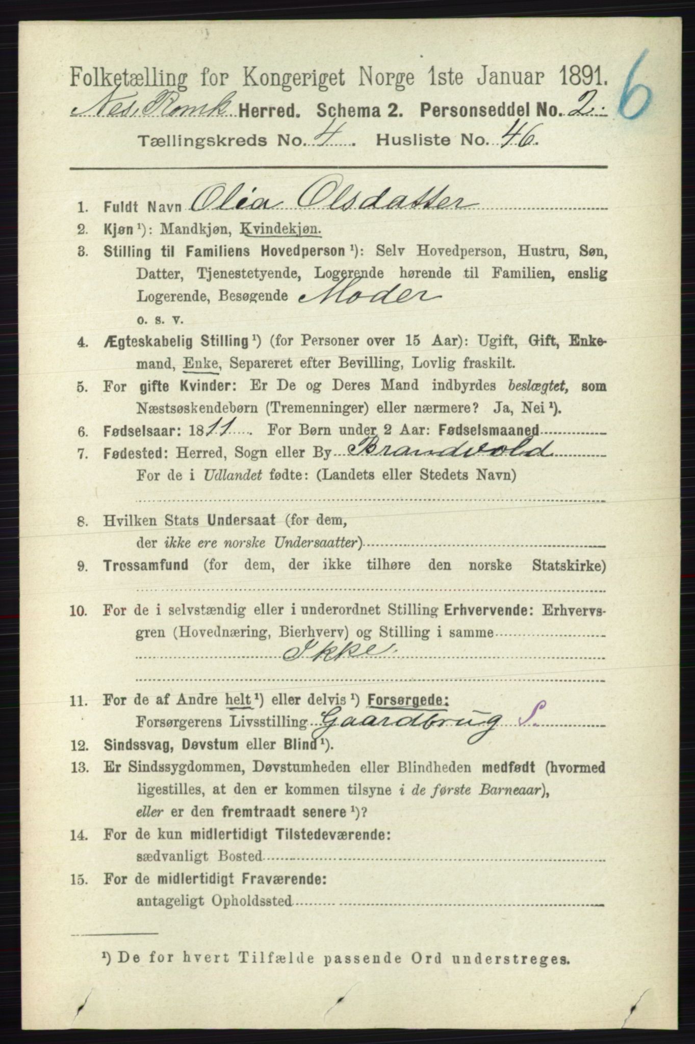 RA, Folketelling 1891 for 0236 Nes herred, 1891, s. 2518