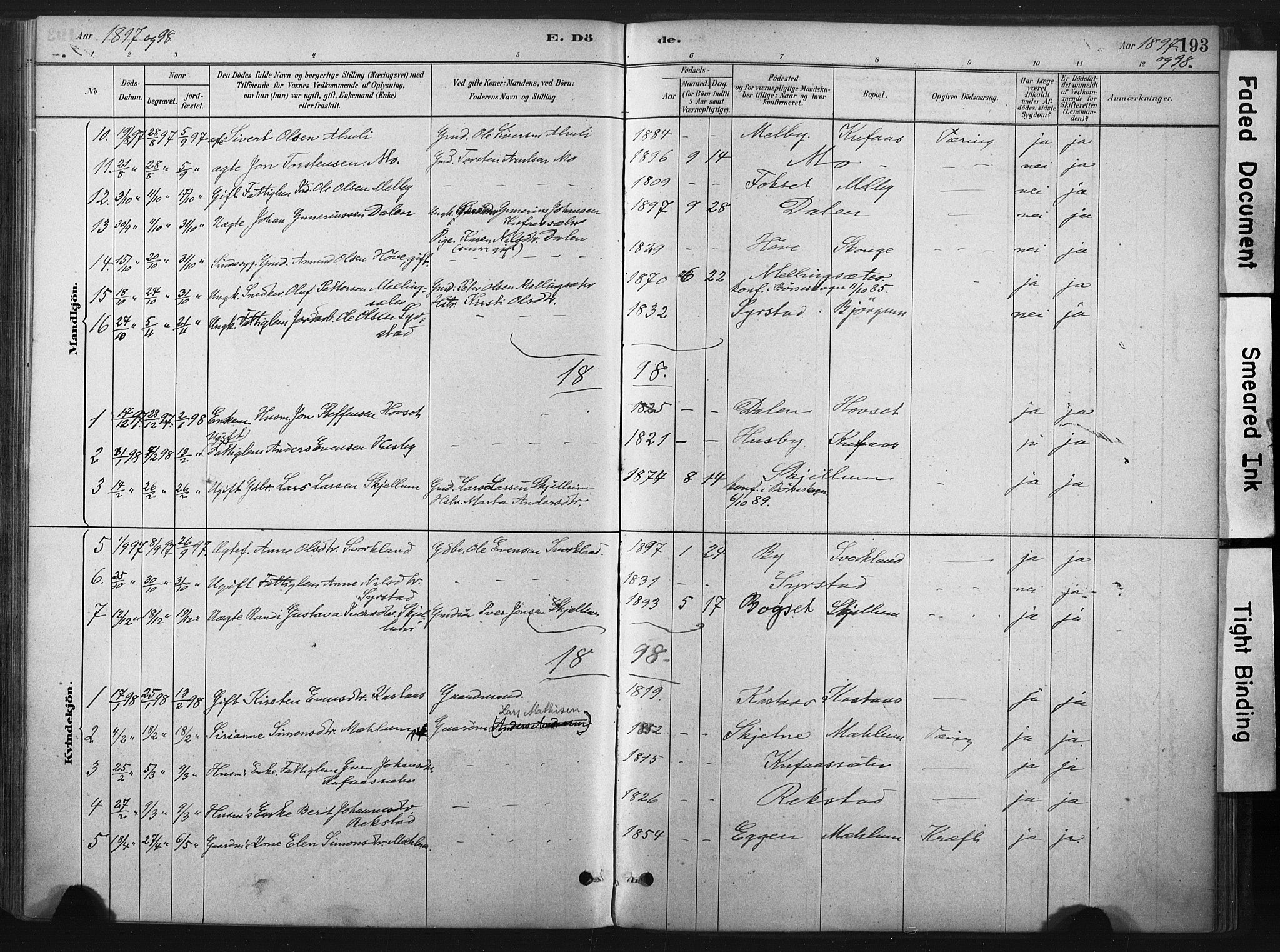 Ministerialprotokoller, klokkerbøker og fødselsregistre - Sør-Trøndelag, SAT/A-1456/667/L0795: Ministerialbok nr. 667A03, 1879-1907, s. 193