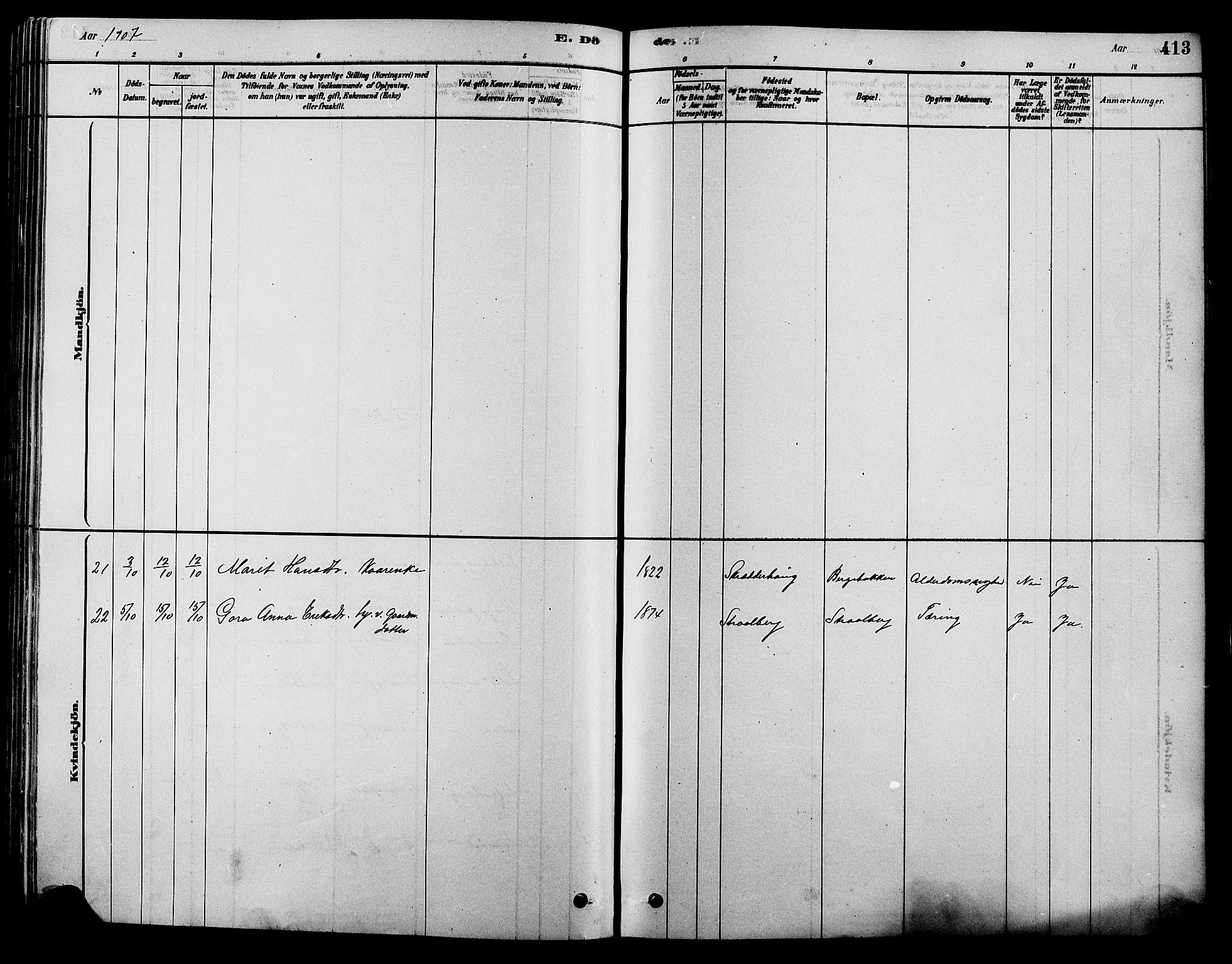 Alvdal prestekontor, AV/SAH-PREST-060/H/Ha/Hab/L0003: Klokkerbok nr. 3, 1878-1907, s. 413