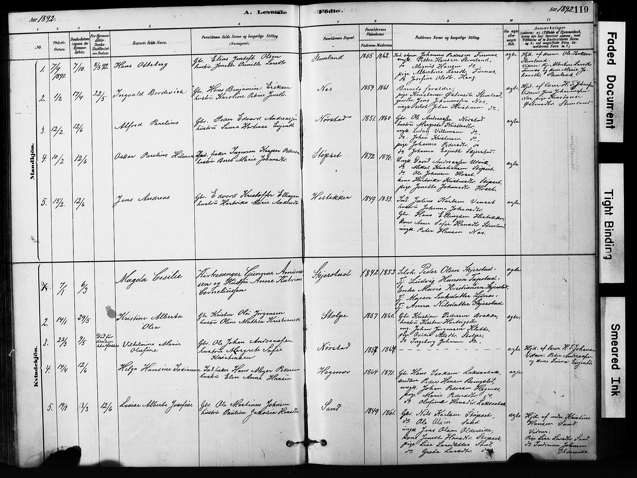 Ministerialprotokoller, klokkerbøker og fødselsregistre - Nordland, SAT/A-1459/852/L0754: Klokkerbok nr. 852C05, 1878-1894, s. 119