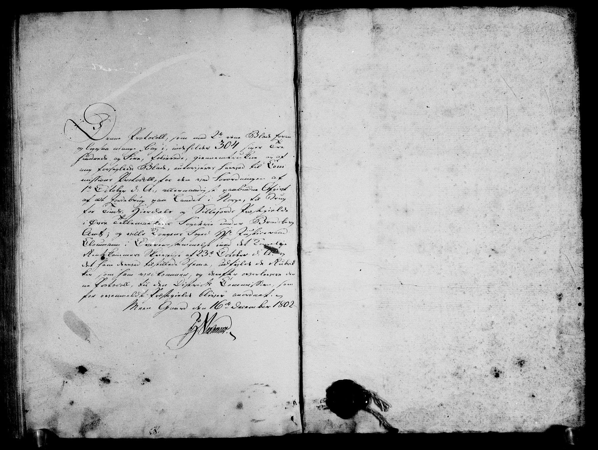 Rentekammeret inntil 1814, Realistisk ordnet avdeling, AV/RA-EA-4070/N/Ne/Nea/L0074: Øvre Telemarken fogderi. Kommisjonsprotokoll for fogderiets østre del - Tinn, Hjartdal og Seljord prestegjeld., 1803, s. 296