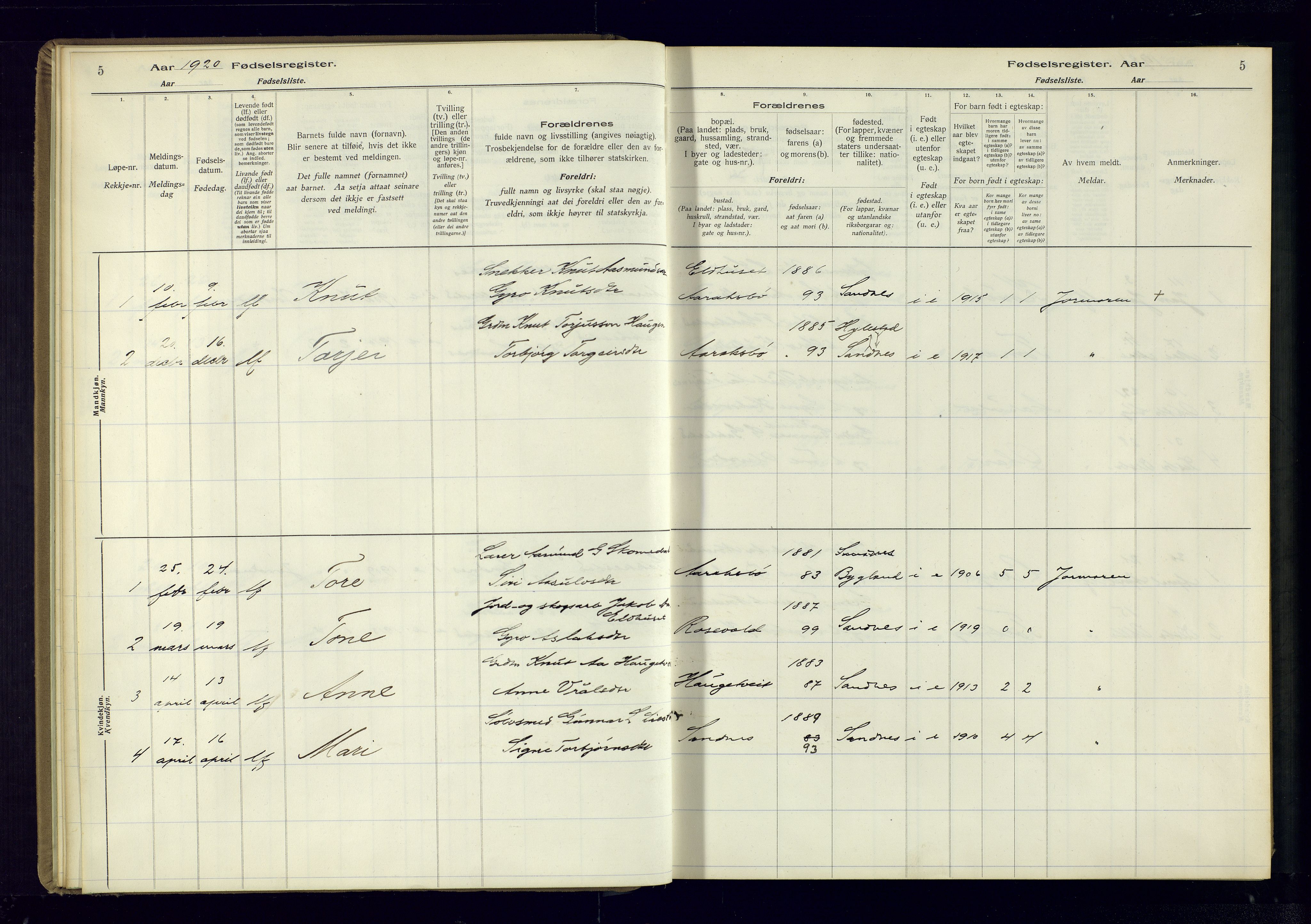 Bygland sokneprestkontor, SAK/1111-0006/J/Ja/L0003: Fødselsregister nr. II.4.4, 1916-1980, s. 5