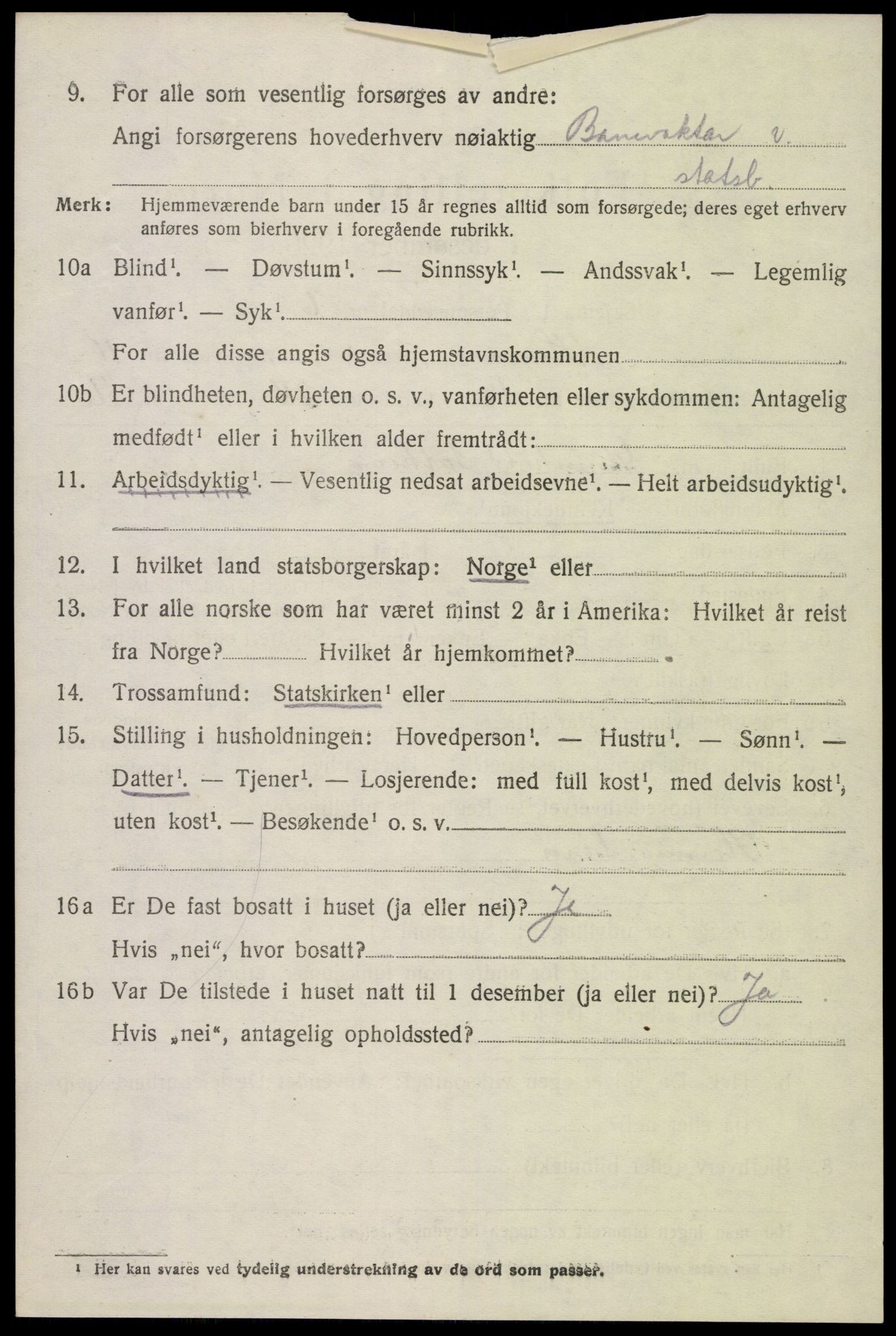 SAK, Folketelling 1920 for 0936 Hornnes herred, 1920, s. 2874