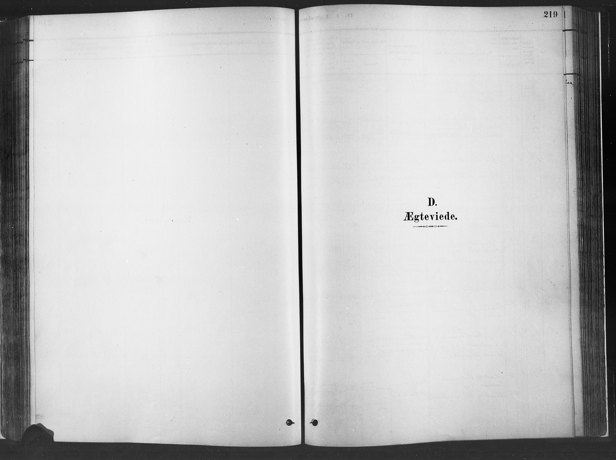 Fåberg prestekontor, AV/SAH-PREST-086/H/Ha/Haa/L0010: Ministerialbok nr. 10, 1879-1900, s. 219