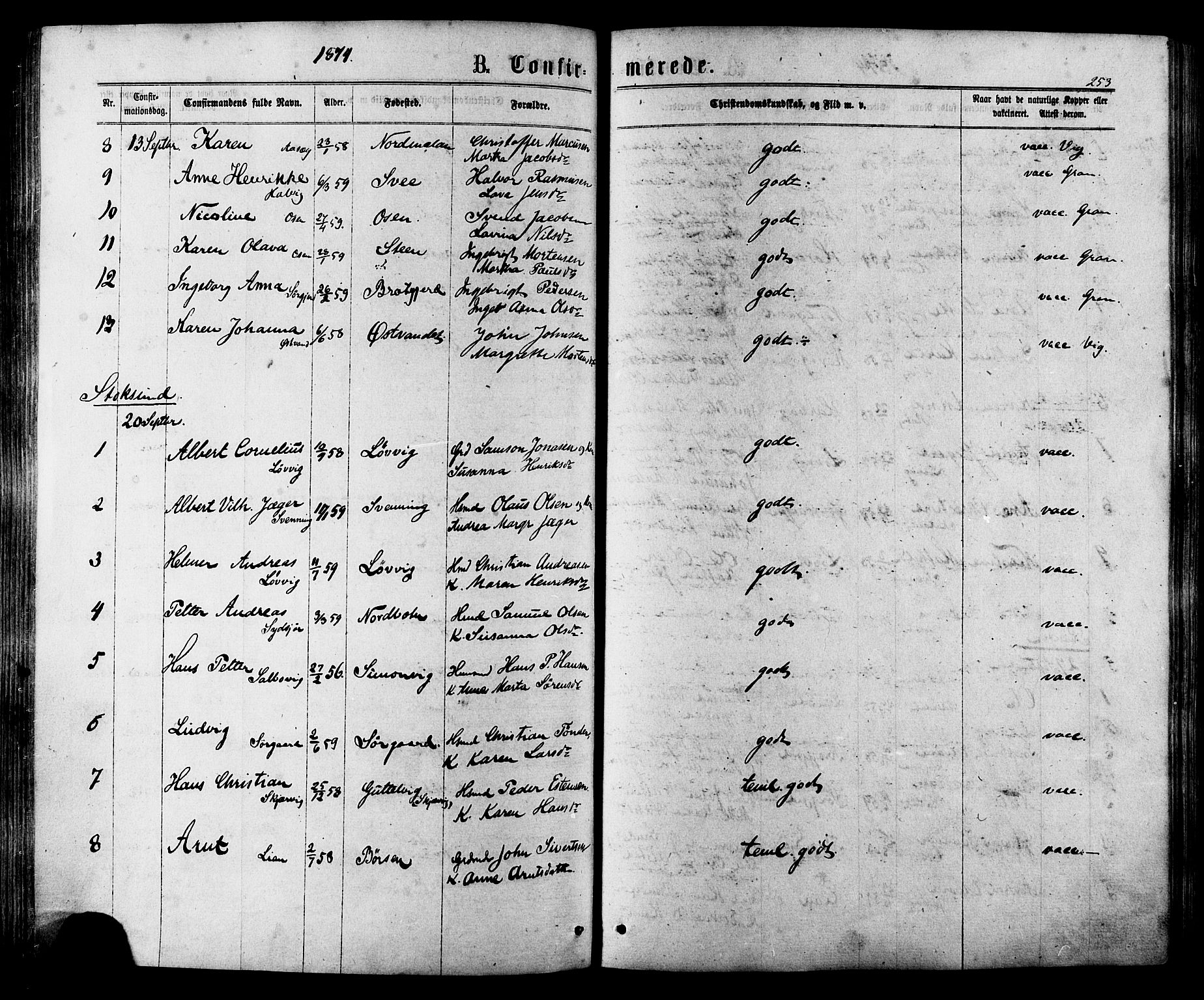 Ministerialprotokoller, klokkerbøker og fødselsregistre - Sør-Trøndelag, SAT/A-1456/657/L0706: Ministerialbok nr. 657A07, 1867-1878, s. 253