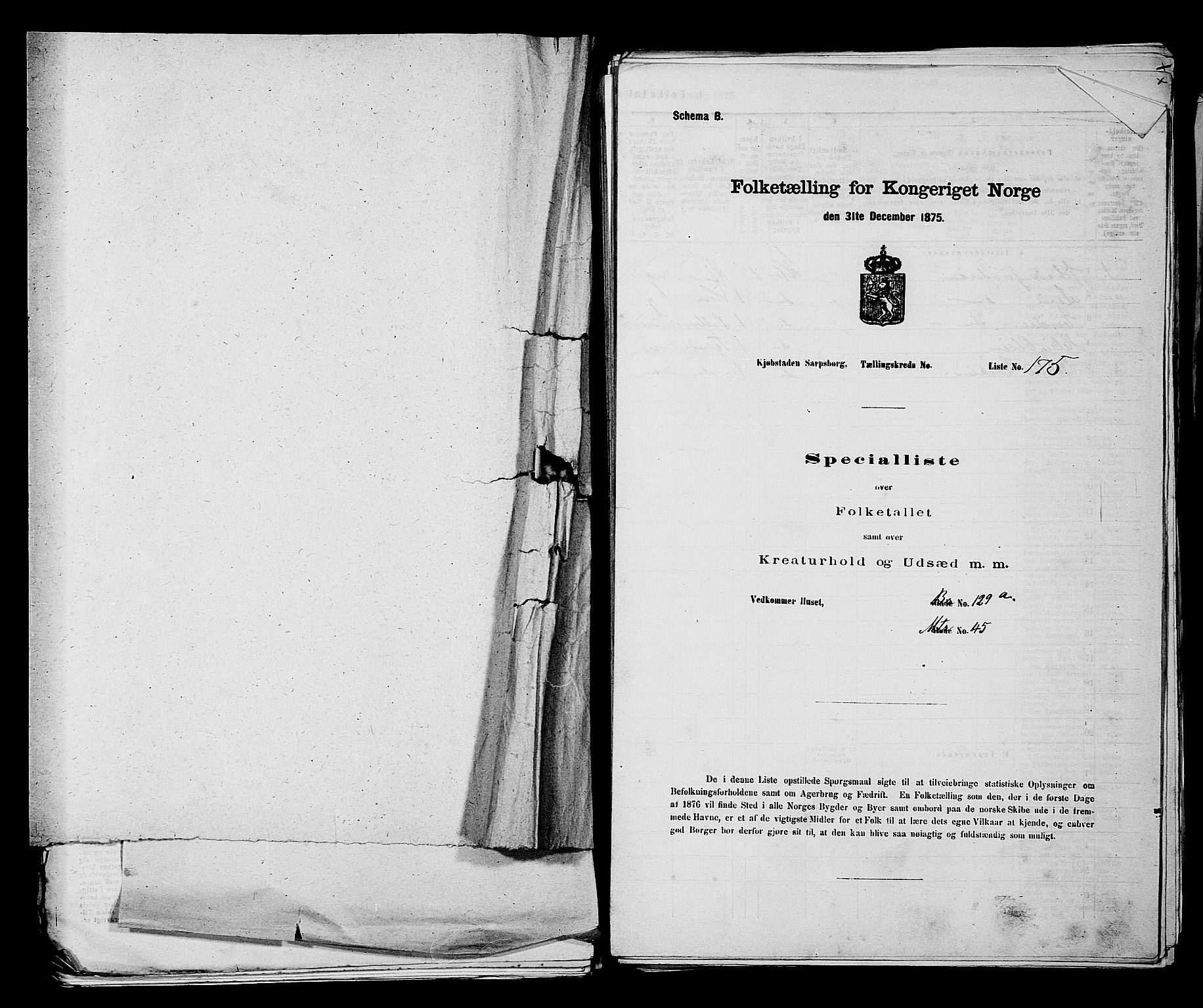 RA, Folketelling 1875 for 0102P Sarpsborg prestegjeld, 1875, s. 411