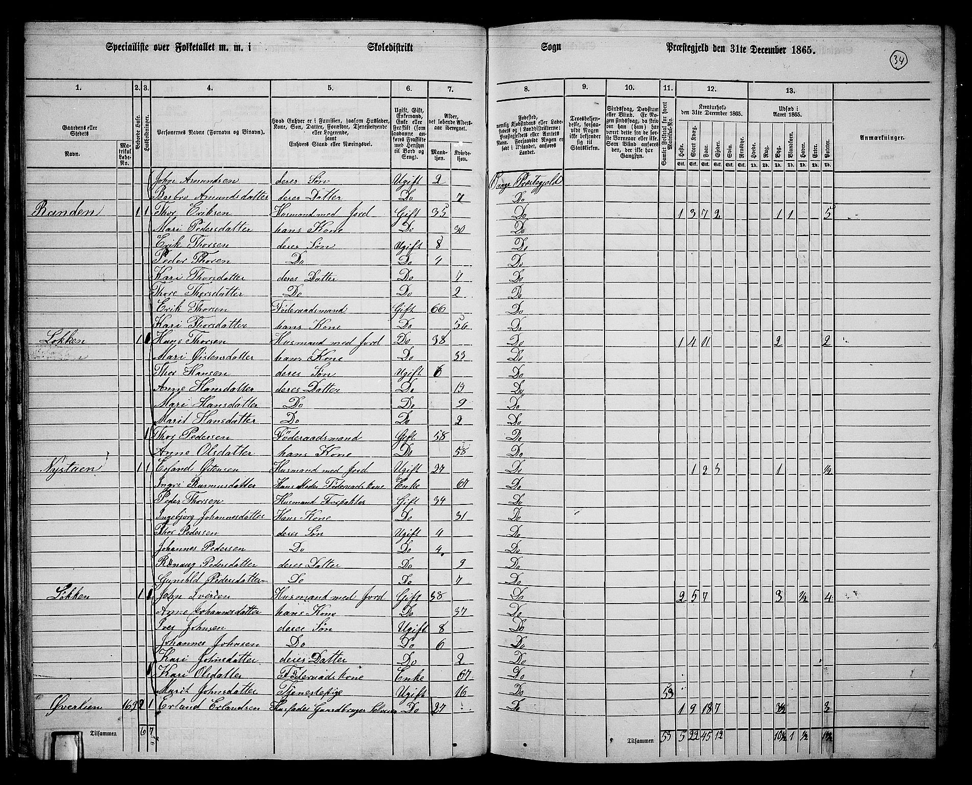 RA, Folketelling 1865 for 0515P Vågå prestegjeld, 1865, s. 31