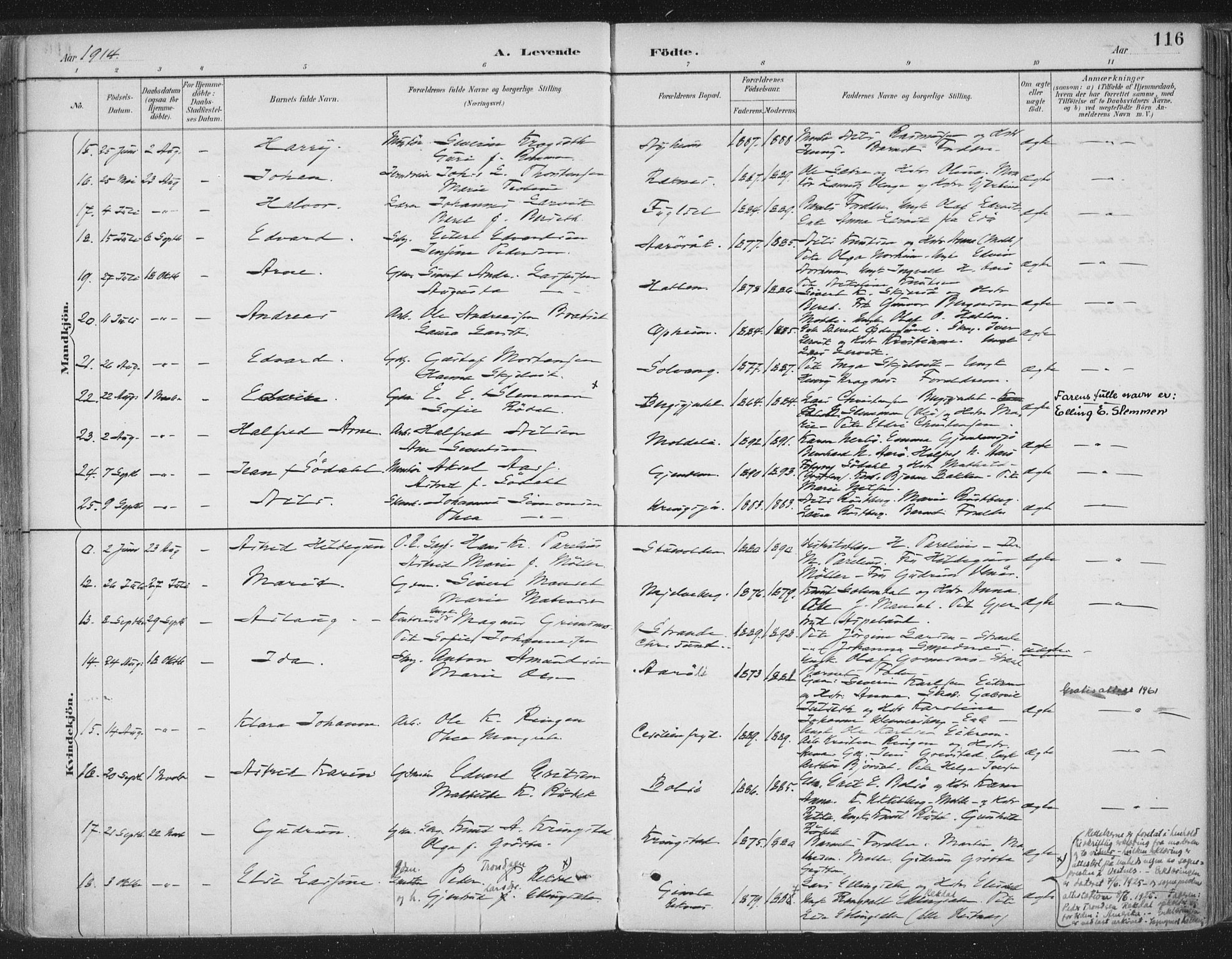 Ministerialprotokoller, klokkerbøker og fødselsregistre - Møre og Romsdal, AV/SAT-A-1454/555/L0658: Ministerialbok nr. 555A09, 1887-1917, s. 116