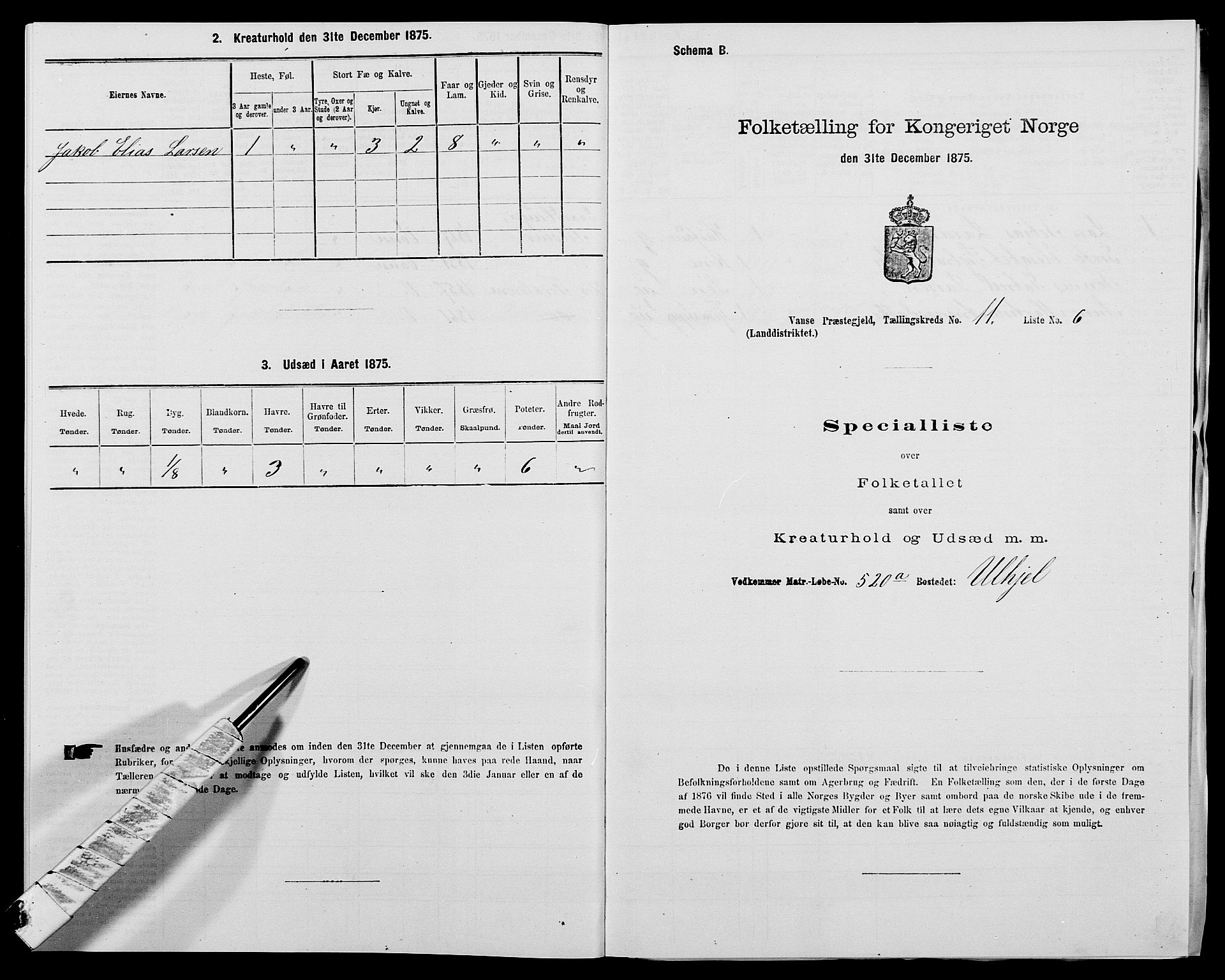 SAK, Folketelling 1875 for 1041L Vanse prestegjeld, Vanse sokn og Farsund landsokn, 1875, s. 1996