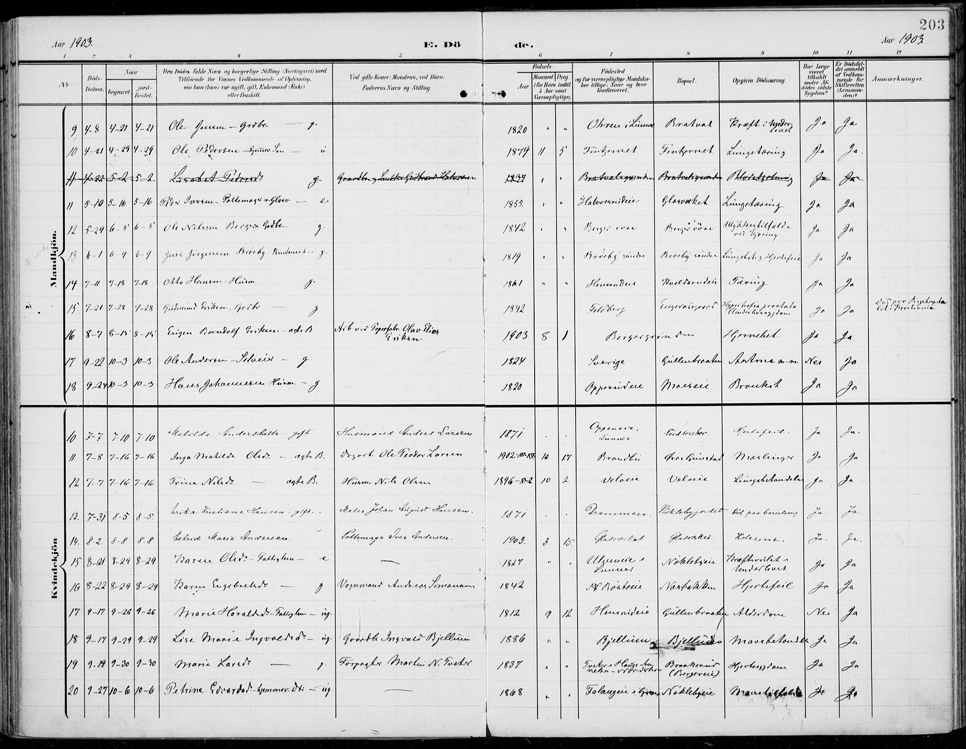 Jevnaker prestekontor, AV/SAH-PREST-116/H/Ha/Haa/L0011: Ministerialbok nr. 11, 1902-1913, s. 203