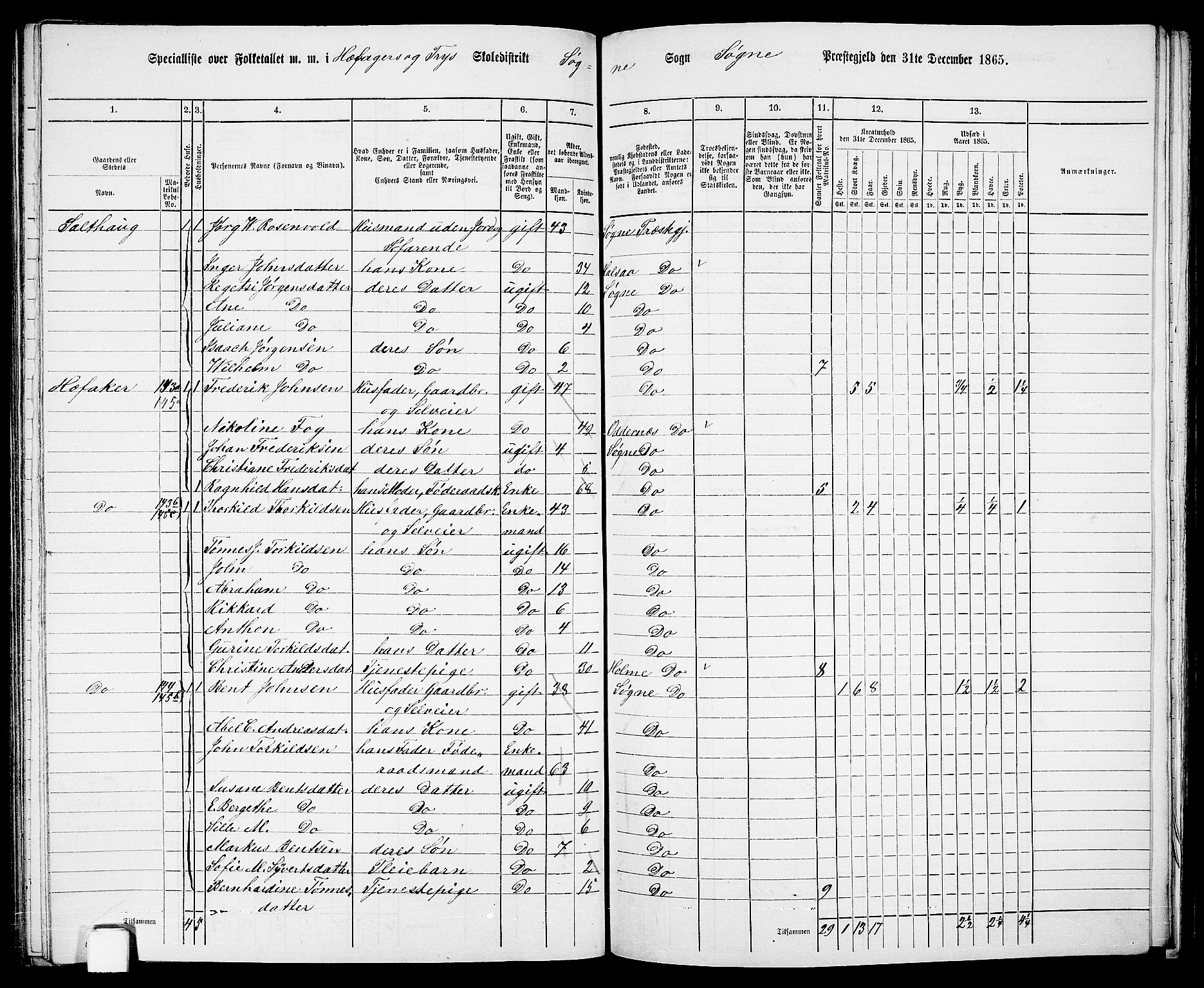 RA, Folketelling 1865 for 1018P Søgne prestegjeld, 1865, s. 99