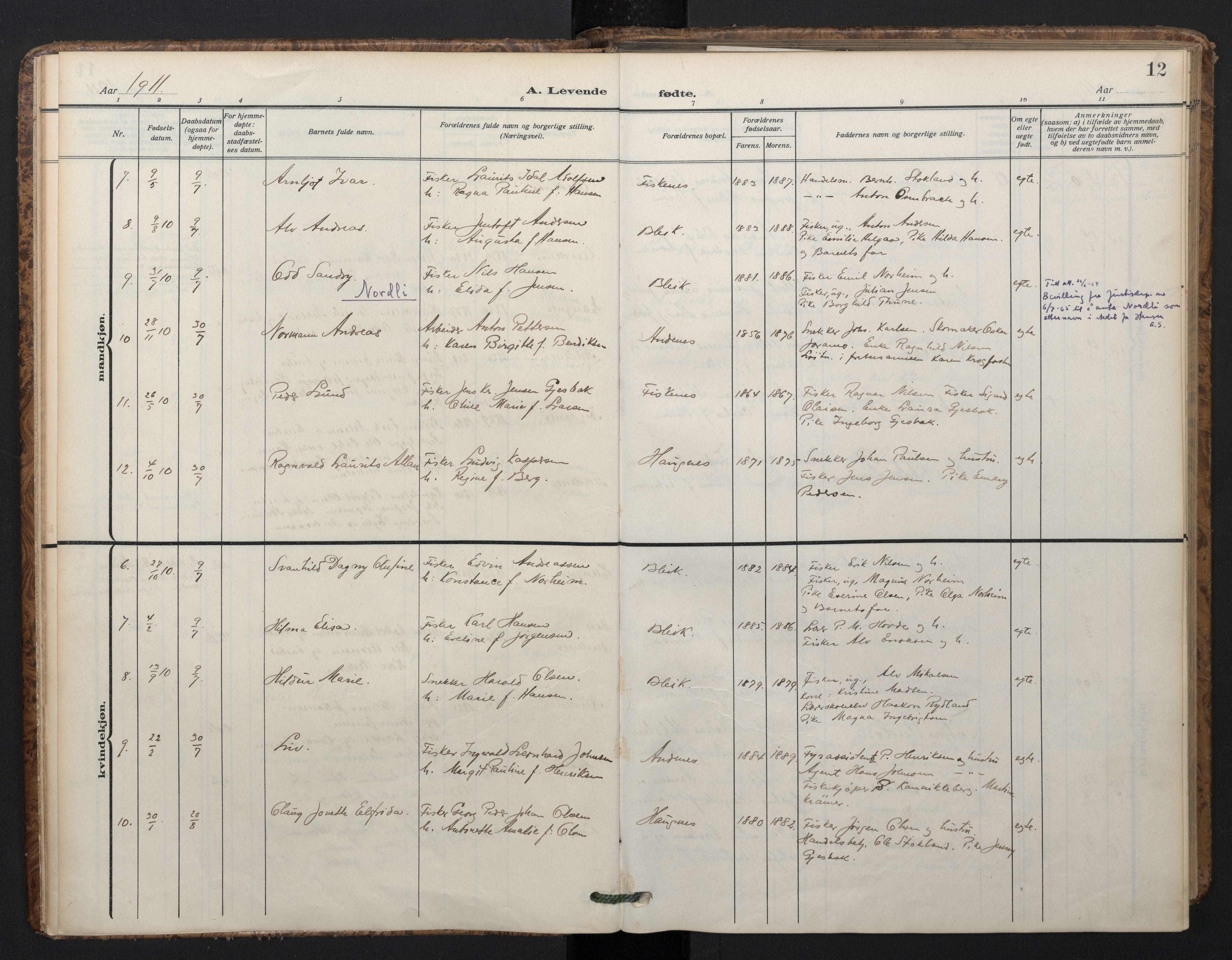 Ministerialprotokoller, klokkerbøker og fødselsregistre - Nordland, AV/SAT-A-1459/899/L1438: Ministerialbok nr. 899A06, 1909-1922, s. 12