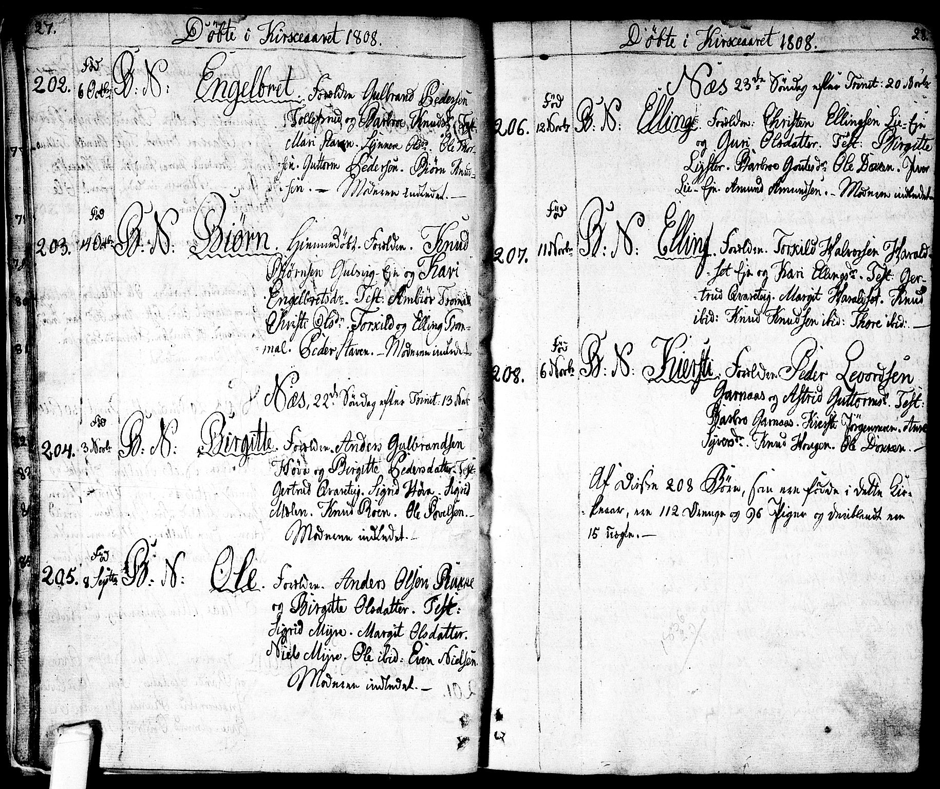 Nes kirkebøker, AV/SAKO-A-236/F/Fa/L0006: Ministerialbok nr. 6, 1808-1814, s. 27-28