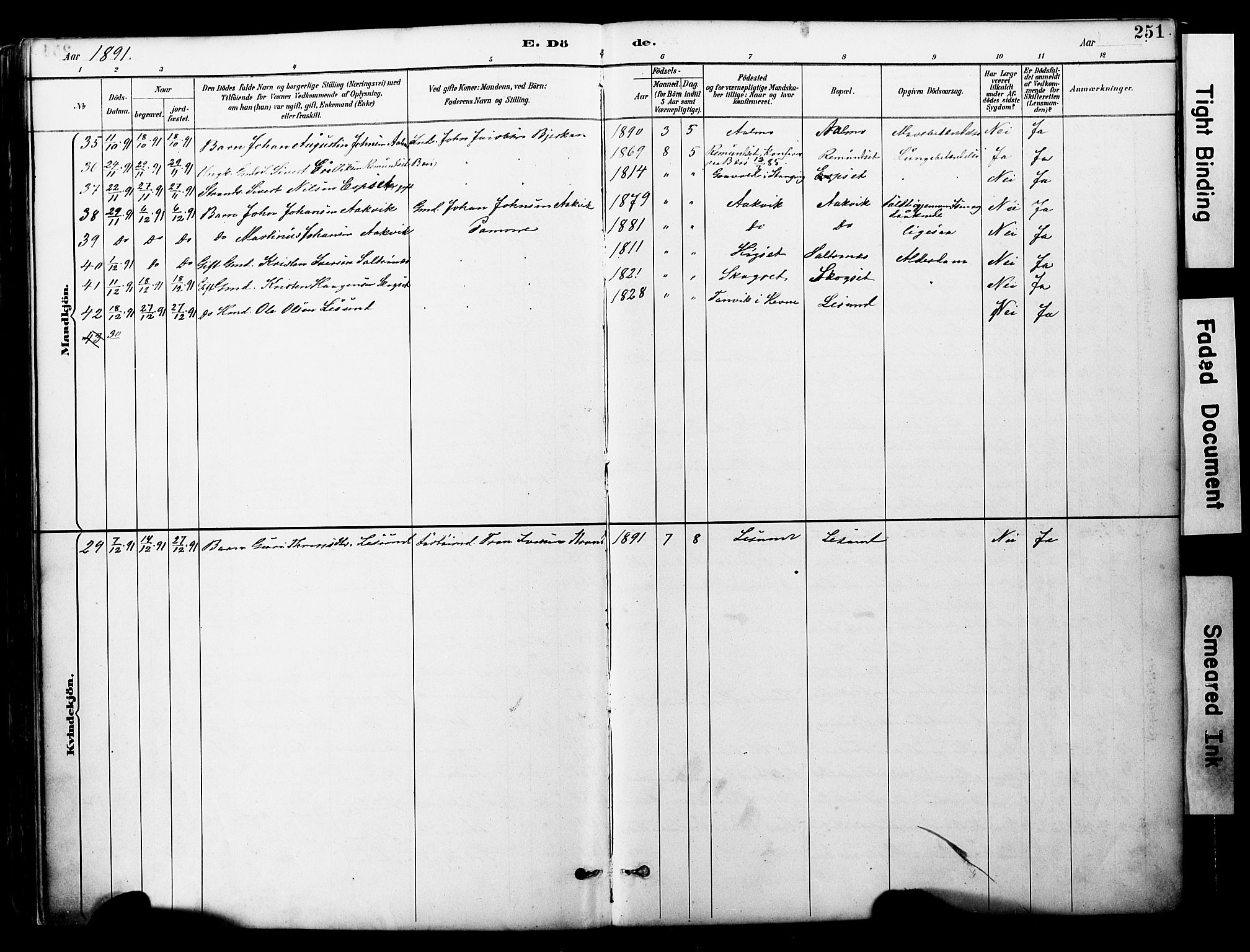 Ministerialprotokoller, klokkerbøker og fødselsregistre - Møre og Romsdal, SAT/A-1454/578/L0907: Ministerialbok nr. 578A06, 1887-1904, s. 251