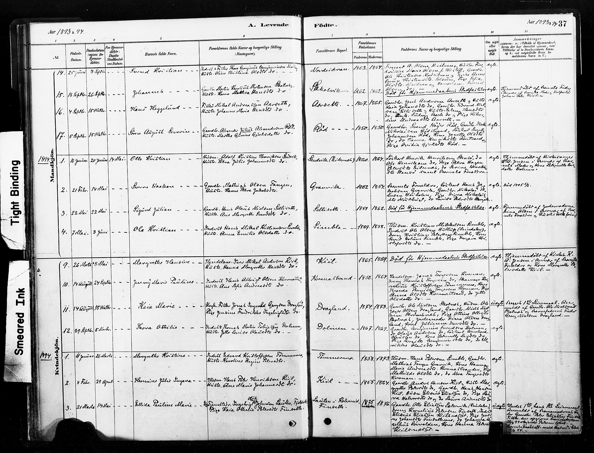 Ministerialprotokoller, klokkerbøker og fødselsregistre - Nord-Trøndelag, AV/SAT-A-1458/789/L0705: Ministerialbok nr. 789A01, 1878-1910, s. 37
