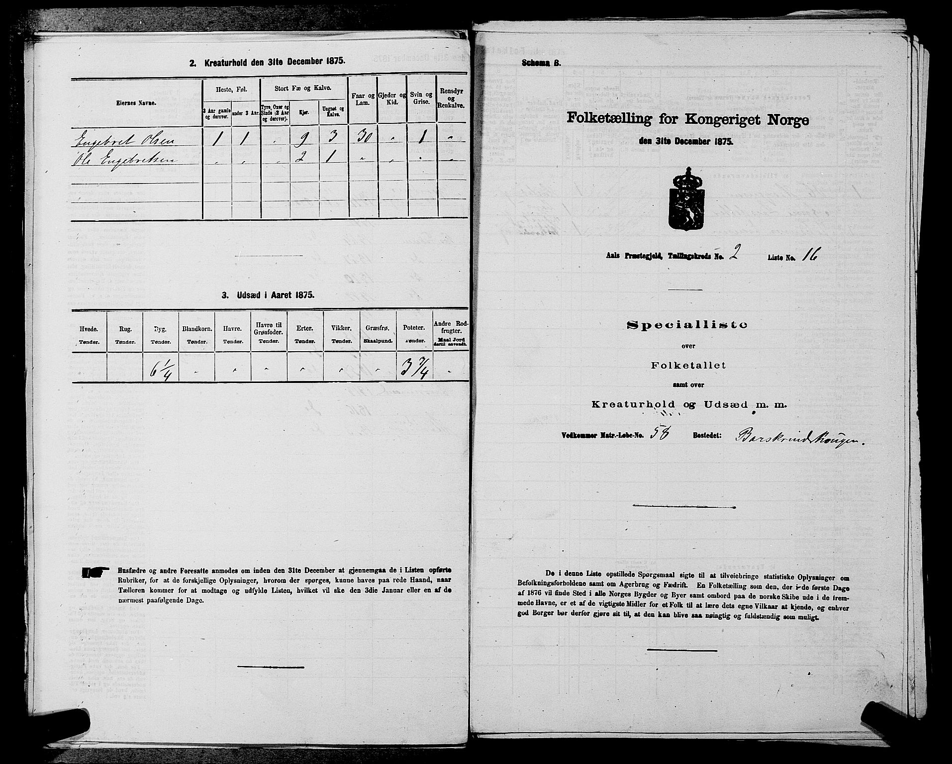 SAKO, Folketelling 1875 for 0619P Ål prestegjeld, 1875, s. 226