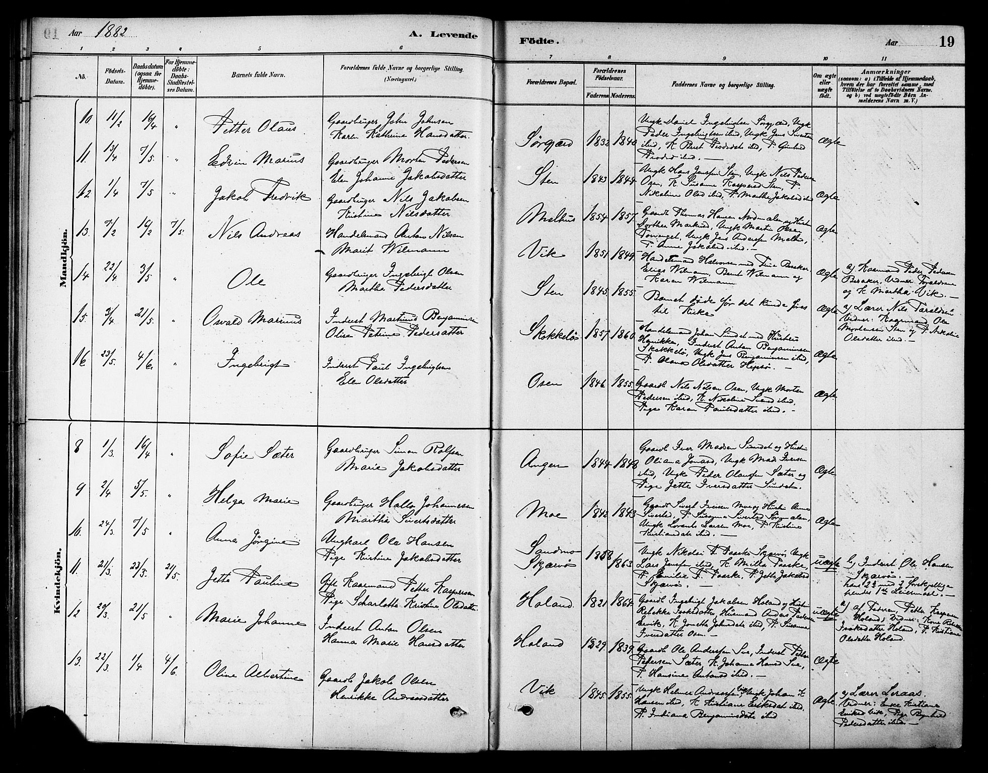 Ministerialprotokoller, klokkerbøker og fødselsregistre - Sør-Trøndelag, SAT/A-1456/658/L0722: Ministerialbok nr. 658A01, 1879-1896, s. 19