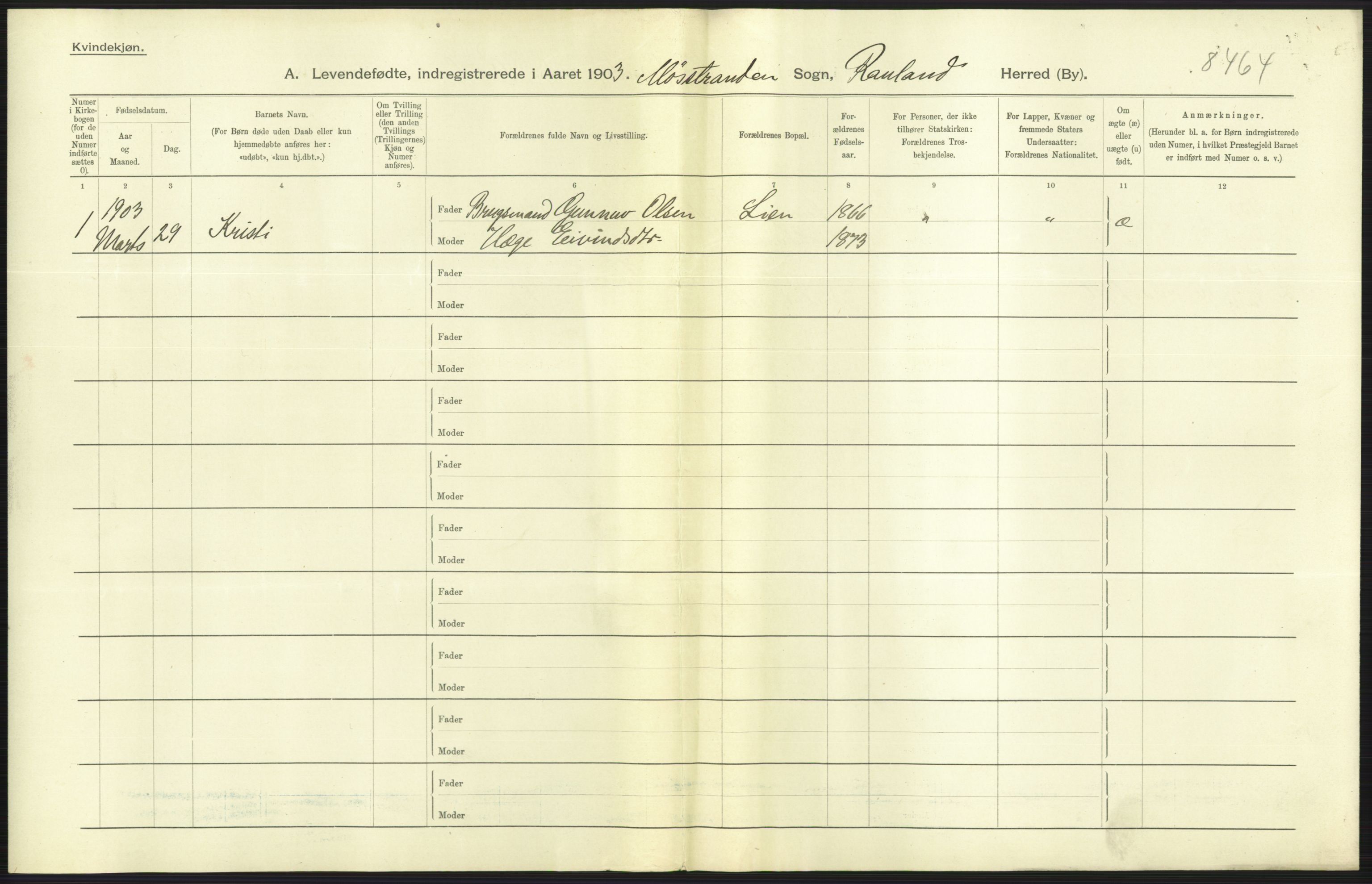 Statistisk sentralbyrå, Sosiodemografiske emner, Befolkning, AV/RA-S-2228/D/Df/Dfa/Dfaa/L0009: Bratsberg amt: Fødte, gifte, døde, 1903, s. 9