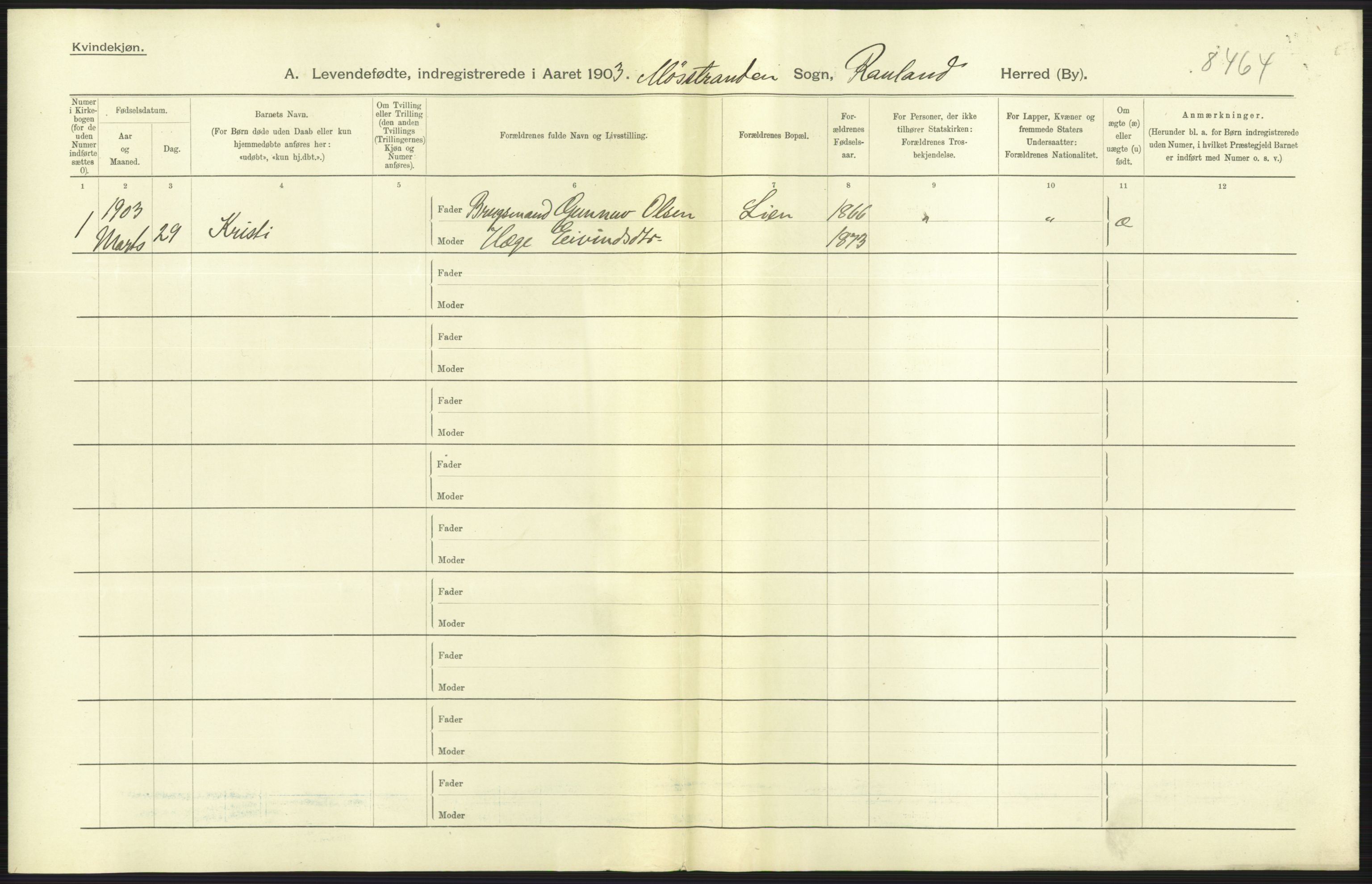 Statistisk sentralbyrå, Sosiodemografiske emner, Befolkning, RA/S-2228/D/Df/Dfa/Dfaa/L0009: Bratsberg amt: Fødte, gifte, døde, 1903, s. 9