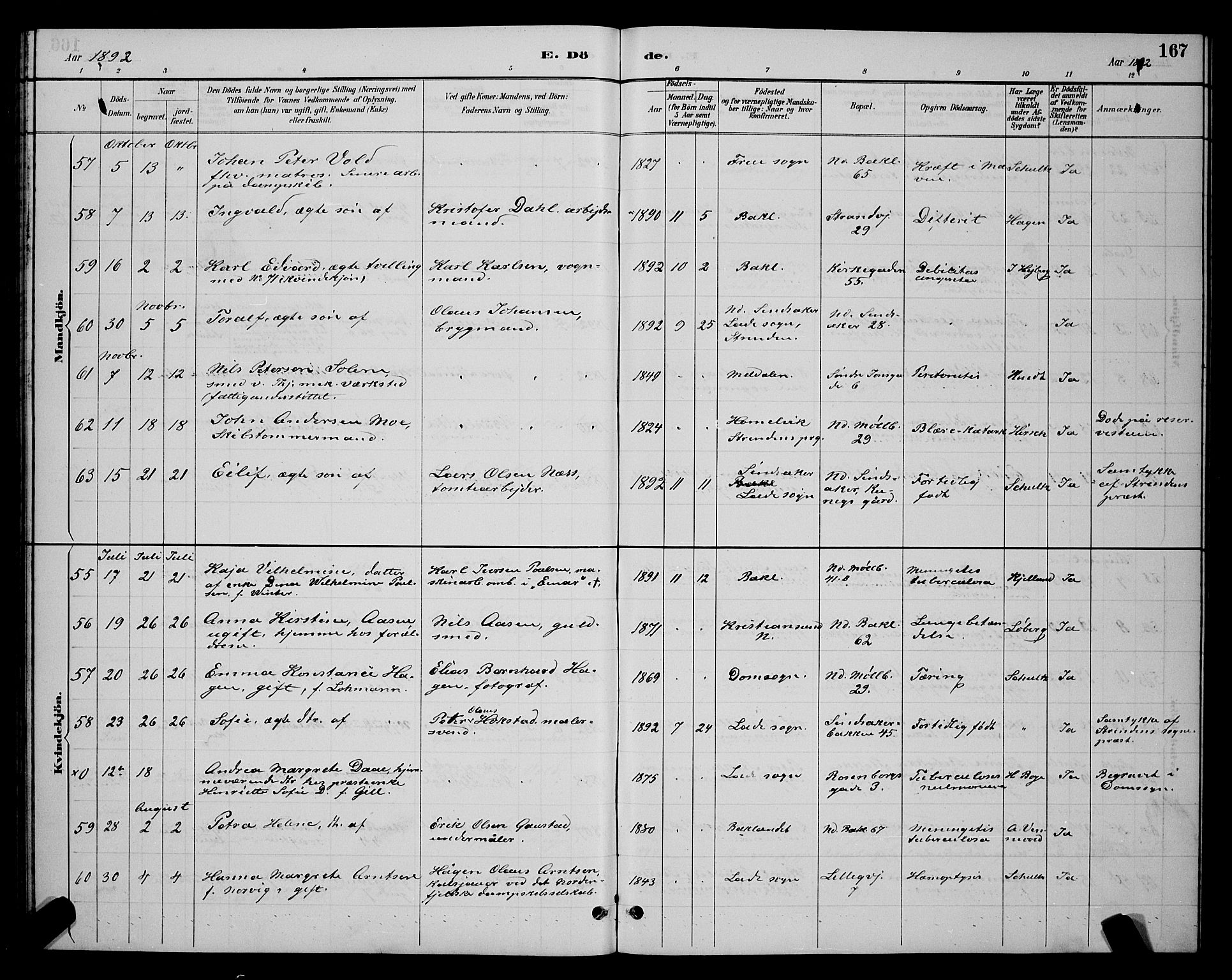 Ministerialprotokoller, klokkerbøker og fødselsregistre - Sør-Trøndelag, SAT/A-1456/604/L0223: Klokkerbok nr. 604C06, 1886-1897, s. 167