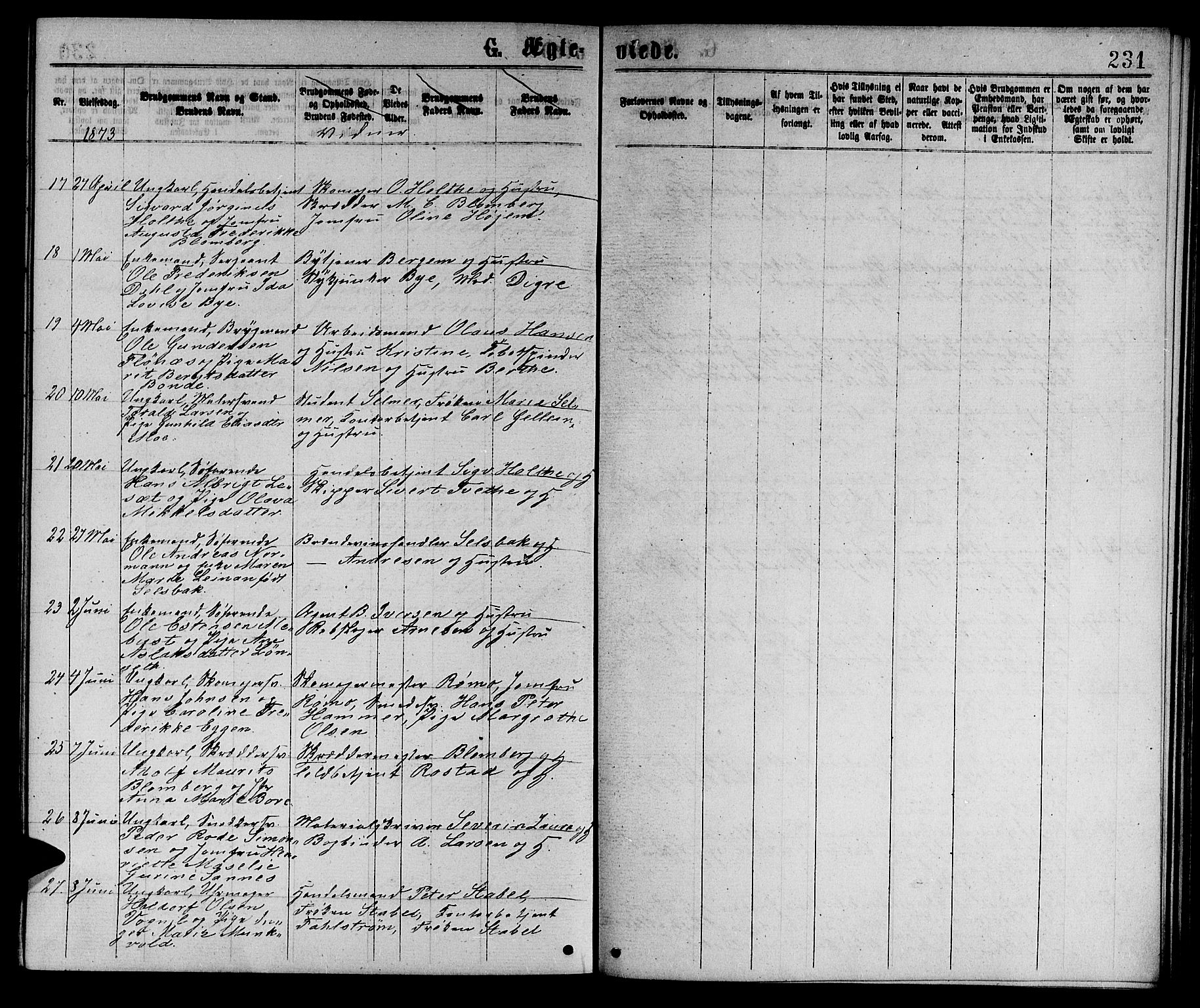 Ministerialprotokoller, klokkerbøker og fødselsregistre - Sør-Trøndelag, SAT/A-1456/601/L0088: Klokkerbok nr. 601C06, 1870-1878, s. 231