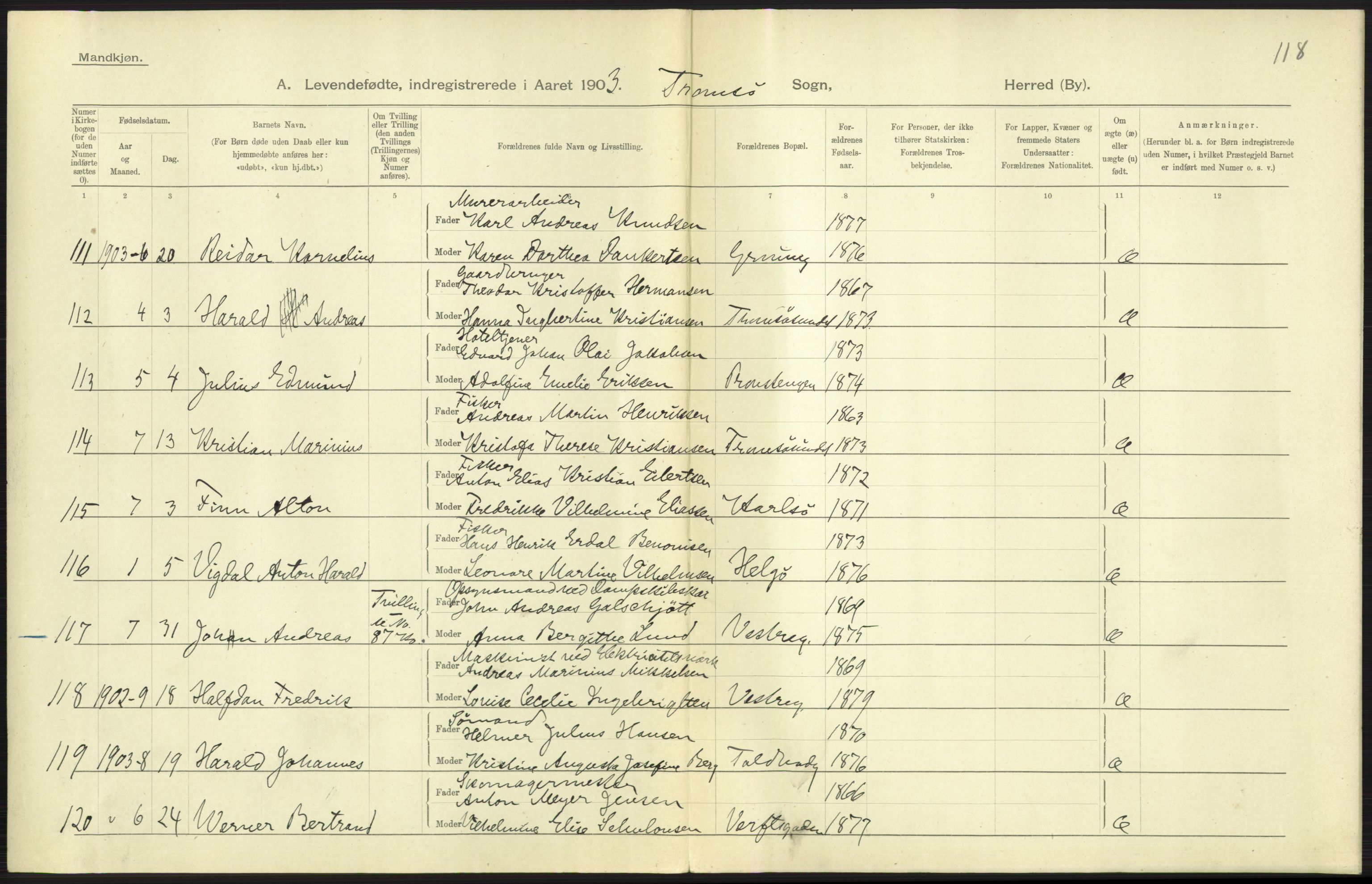 Statistisk sentralbyrå, Sosiodemografiske emner, Befolkning, AV/RA-S-2228/D/Df/Dfa/Dfaa/L0021: Tromsø amt: Fødte, gifte, døde., 1903, s. 275