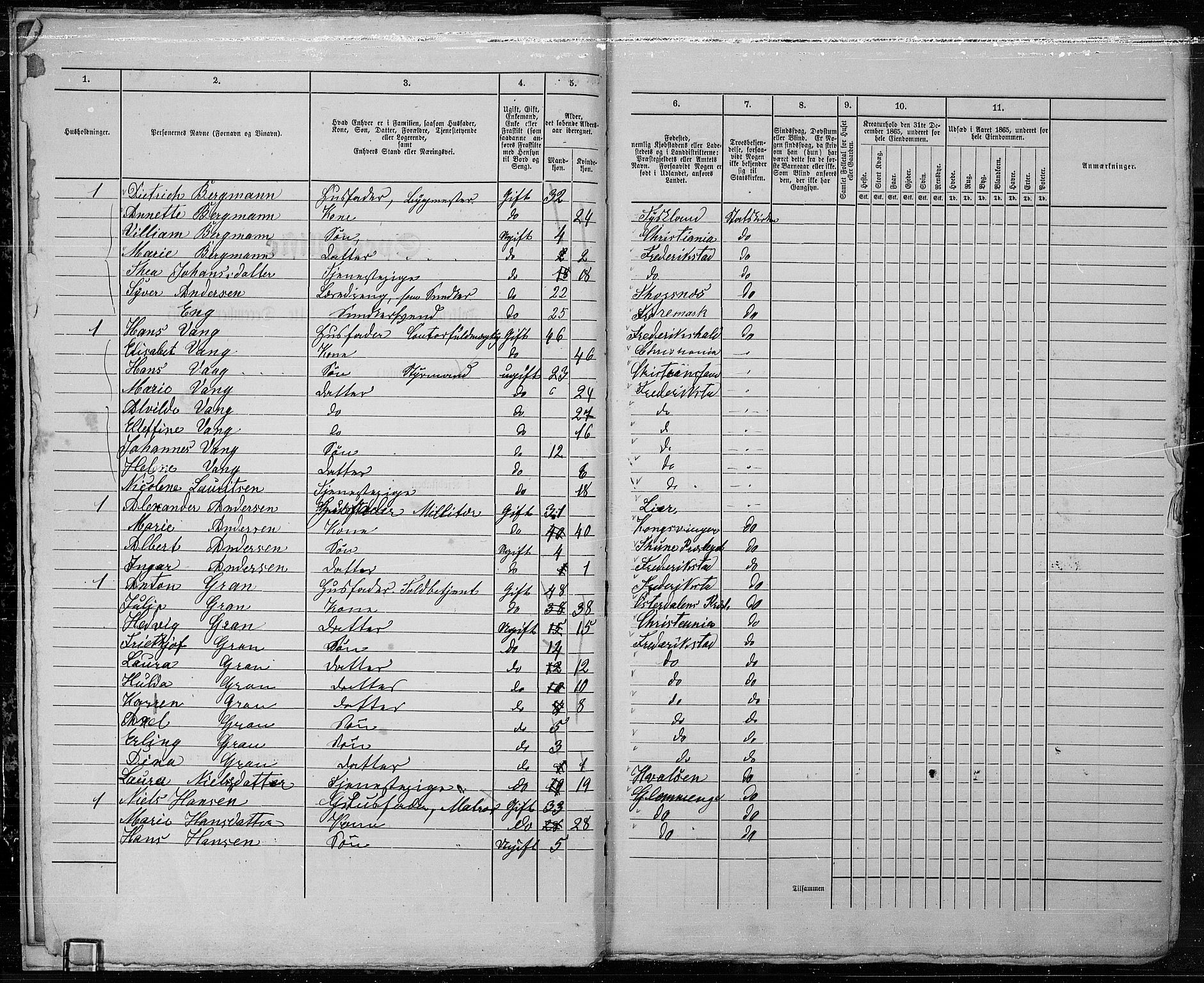 RA, Folketelling 1865 for 0103B Fredrikstad prestegjeld, Fredrikstad kjøpstad, 1865, s. 12