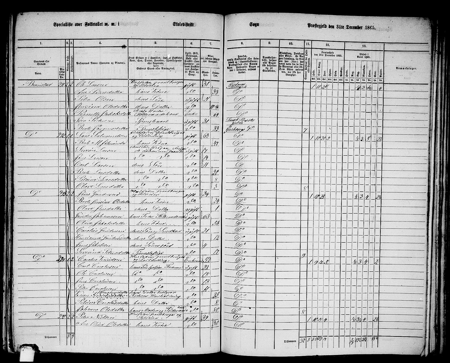 RA, Folketelling 1865 for 1527P Ørskog prestegjeld, 1865, s. 118