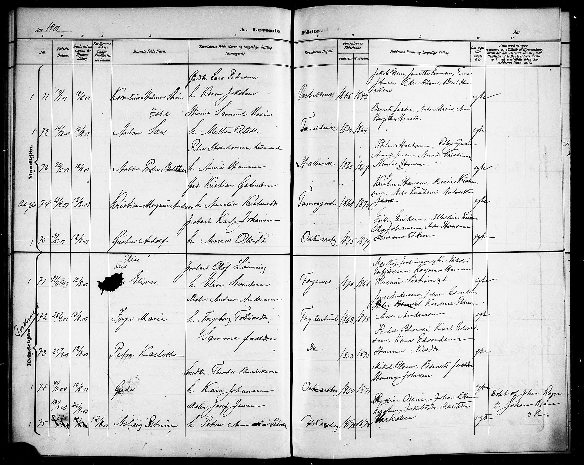 Ministerialprotokoller, klokkerbøker og fødselsregistre - Nordland, AV/SAT-A-1459/866/L0953: Klokkerbok nr. 866C02, 1900-1905