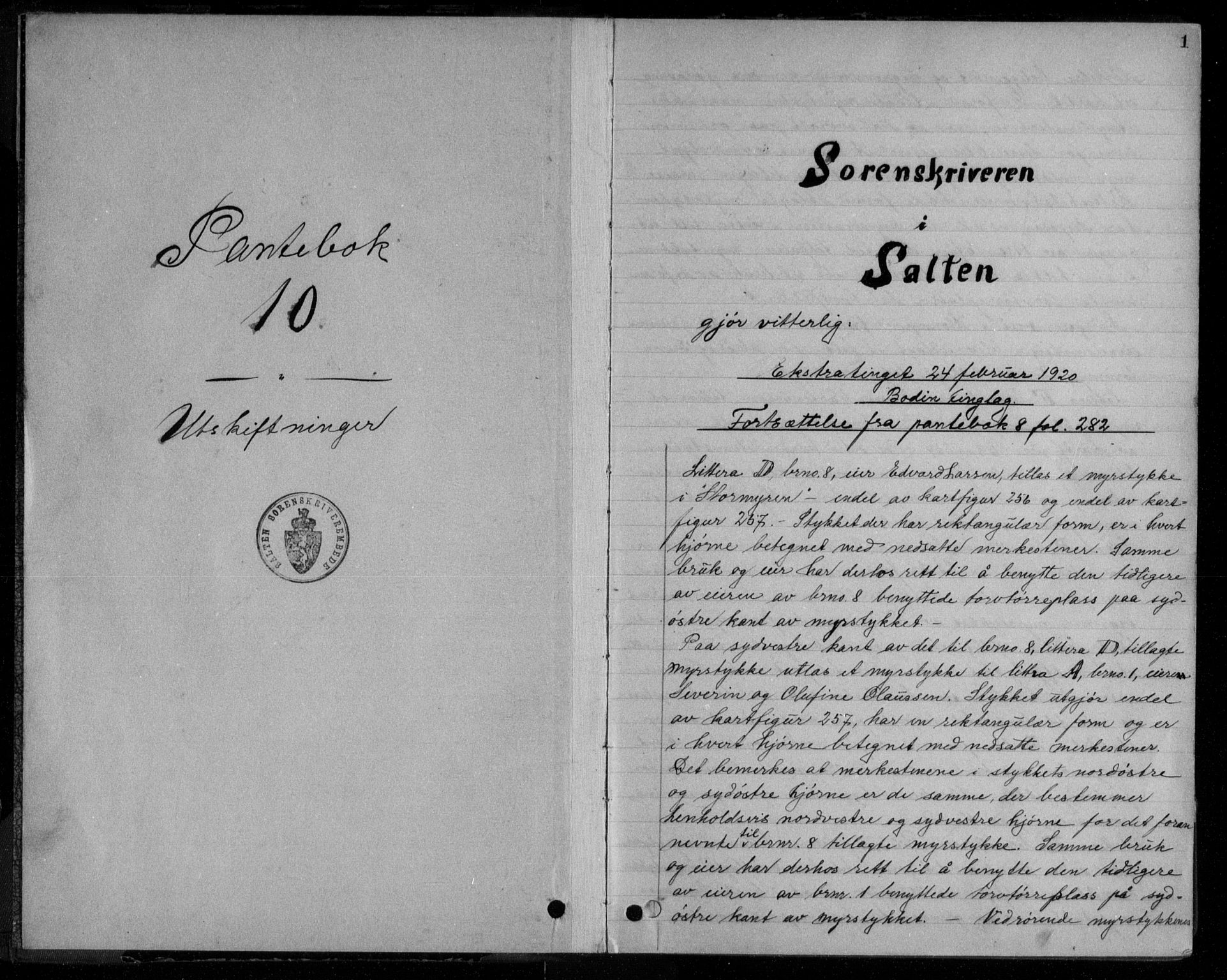 Salten sorenskriveri, AV/SAT-A-4578/1/2/2C/L0050: Pantebok nr. 10, 1920-1926, s. 1