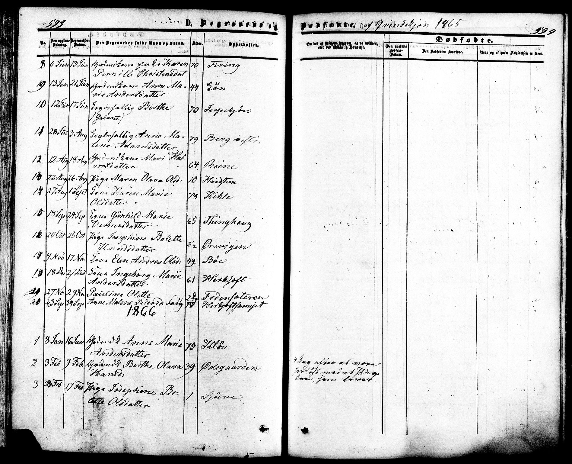 Ramnes kirkebøker, AV/SAKO-A-314/F/Fa/L0006: Ministerialbok nr. I 6, 1862-1877, s. 593-594