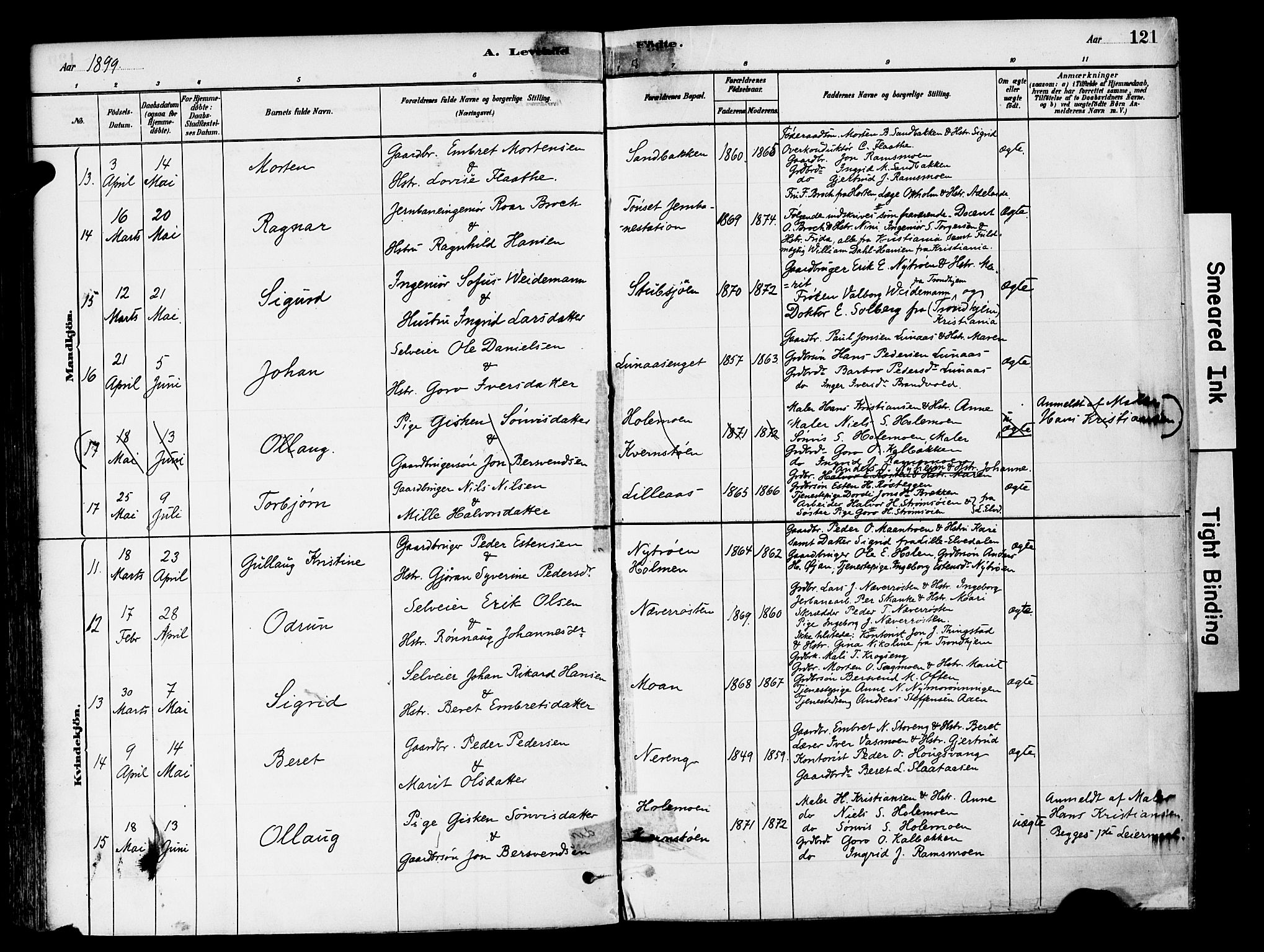 Tynset prestekontor, AV/SAH-PREST-058/H/Ha/Haa/L0022: Ministerialbok nr. 22, 1880-1899, s. 121