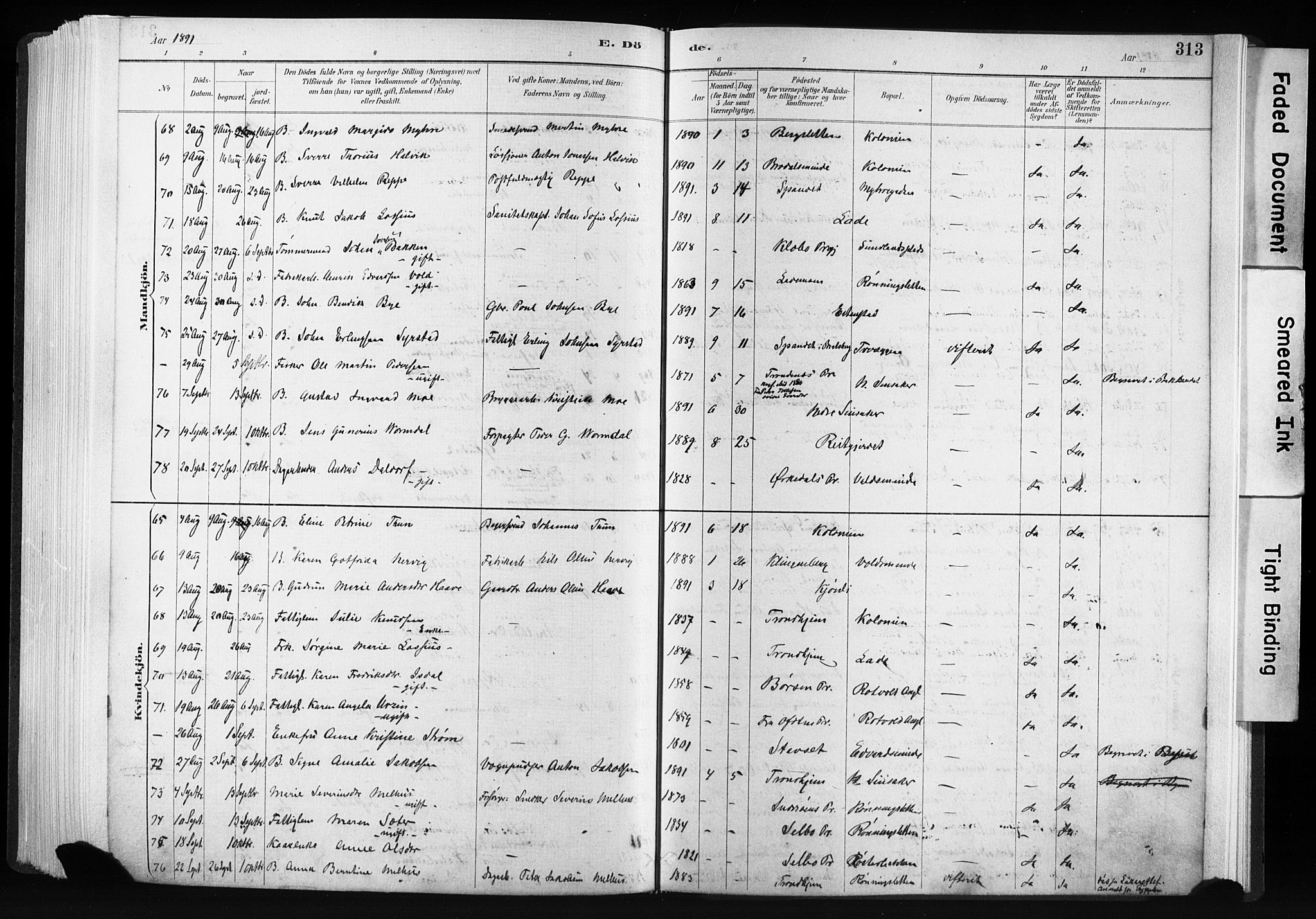 Ministerialprotokoller, klokkerbøker og fødselsregistre - Sør-Trøndelag, AV/SAT-A-1456/606/L0300: Ministerialbok nr. 606A15, 1886-1893, s. 313