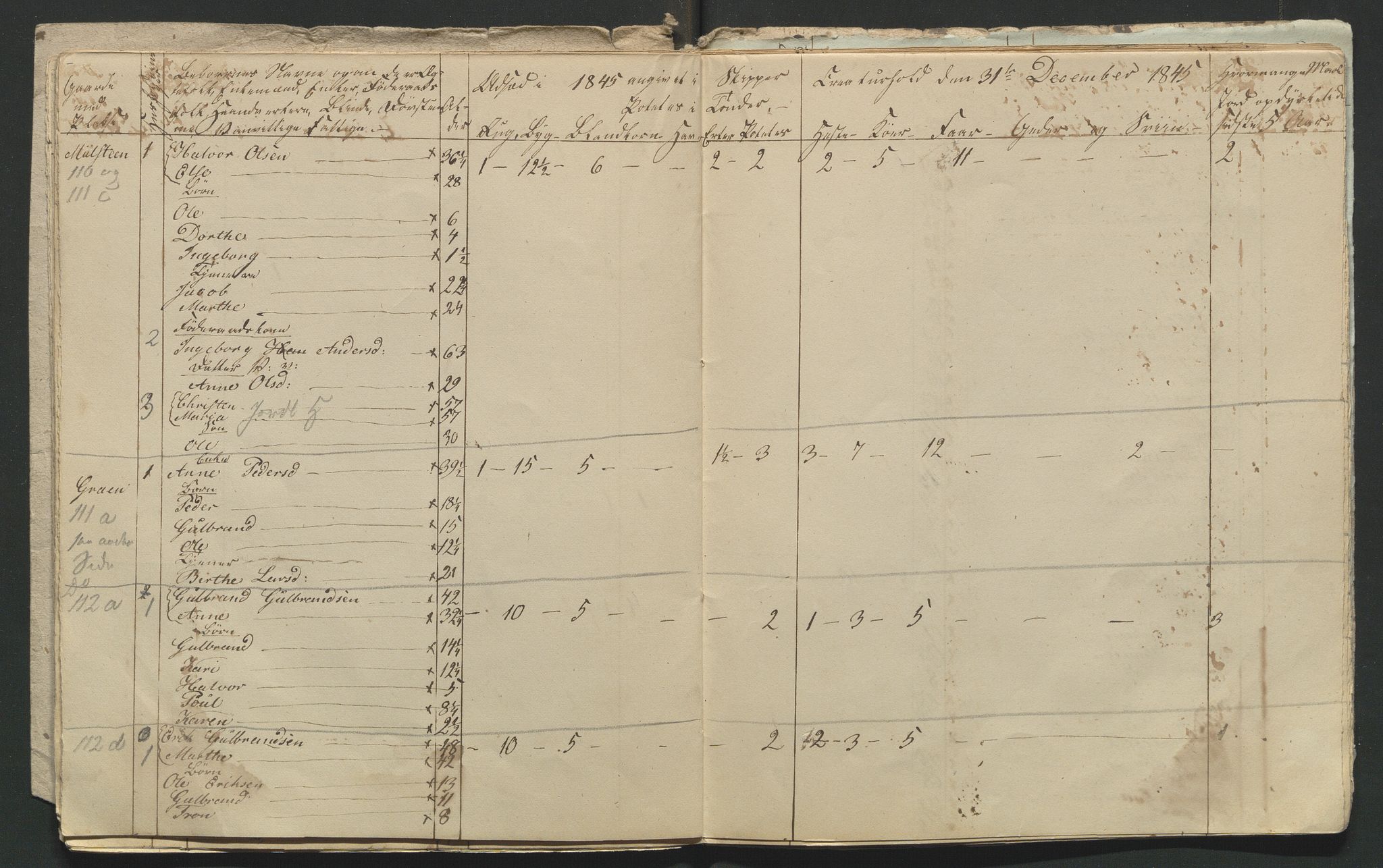 SAH, Lokaliasamlingen for Hedmark og Oppland fylker m.v.: Folketellingen 1845 for Jevnaker prestegjeld, 1845, s. 116