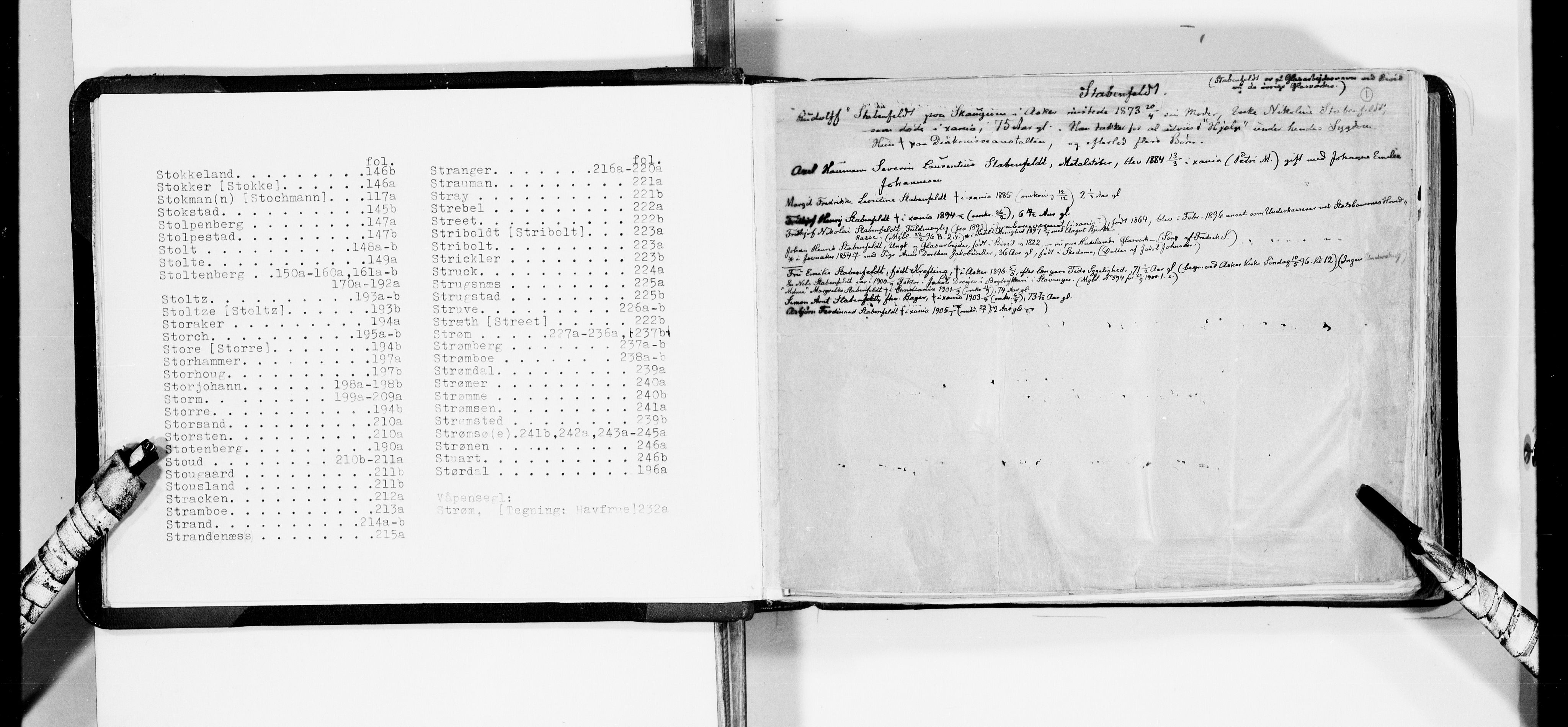 Lassens samlinger, AV/RA-PA-0051/F/Fa/L0041: Personalhistoriske og genealogiske opptegnelser: Stabenfeldt - Stuart, 1500-1907