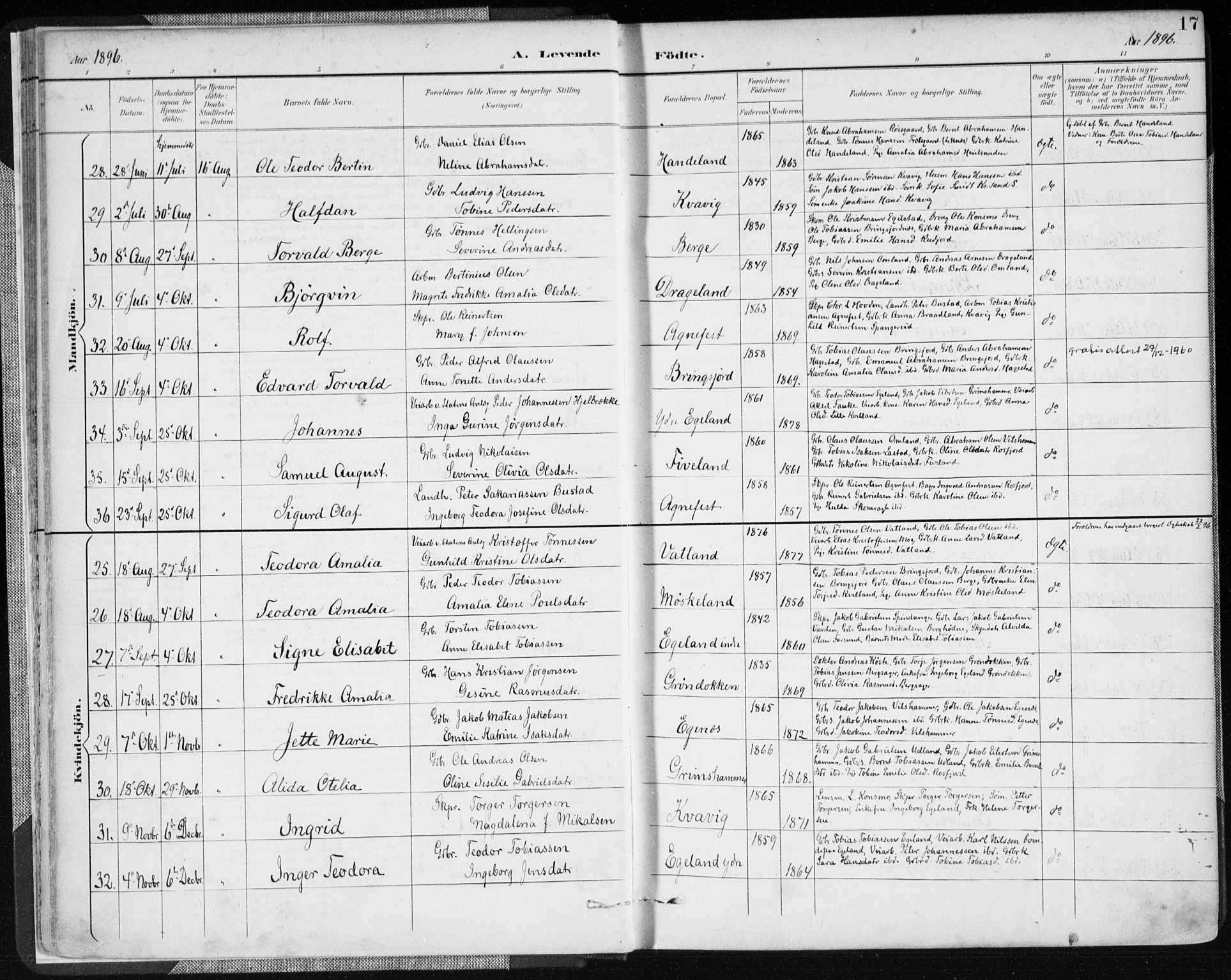 Lyngdal sokneprestkontor, AV/SAK-1111-0029/F/Fa/Fac/L0012: Ministerialbok nr. A 12, 1894-1918, s. 17