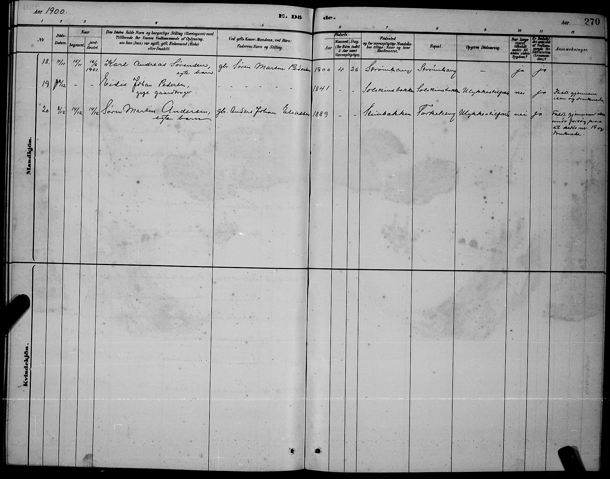 Ministerialprotokoller, klokkerbøker og fødselsregistre - Nordland, AV/SAT-A-1459/853/L0772: Ministerialbok nr. 853A11, 1881-1900, s. 270