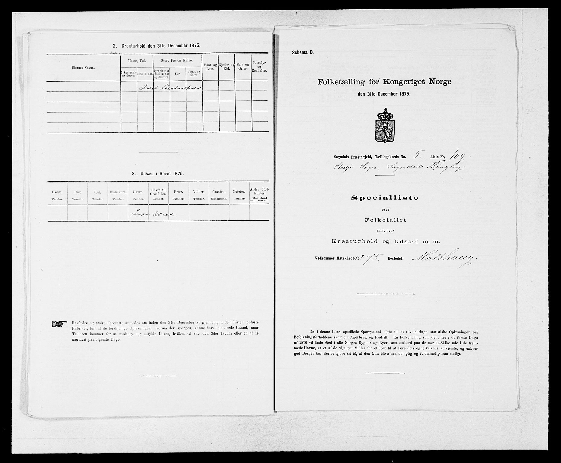 SAB, Folketelling 1875 for 1420P Sogndal prestegjeld, 1875, s. 590