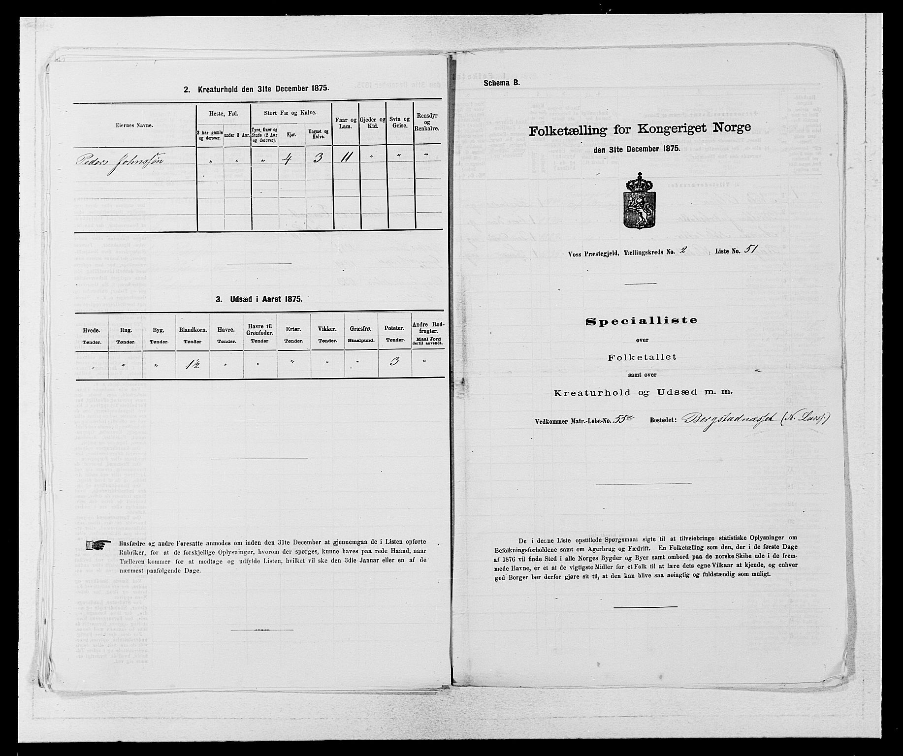 SAB, Folketelling 1875 for 1235P Voss prestegjeld, 1875, s. 1868