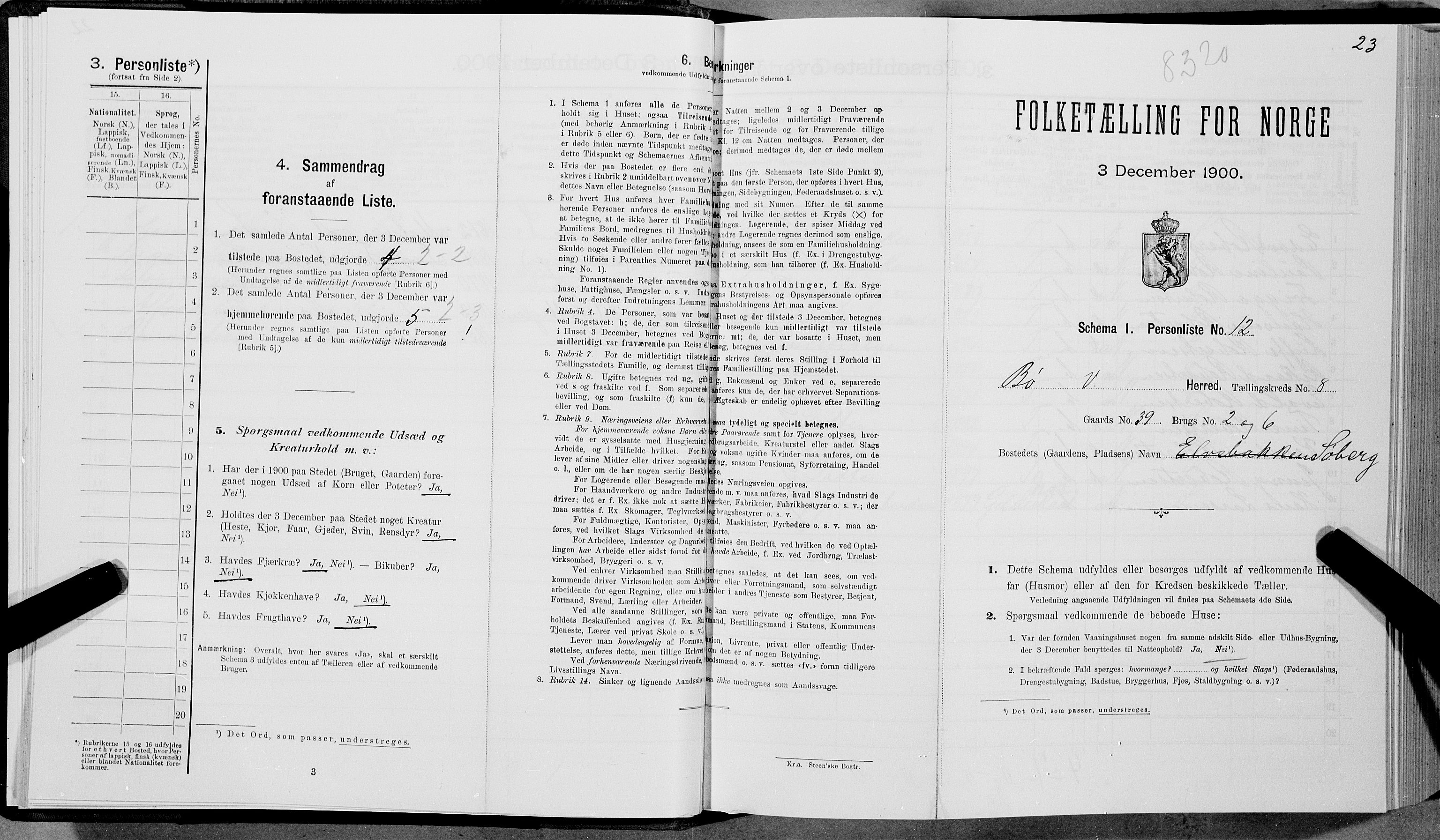 SAT, Folketelling 1900 for 1867 Bø herred, 1900, s. 925