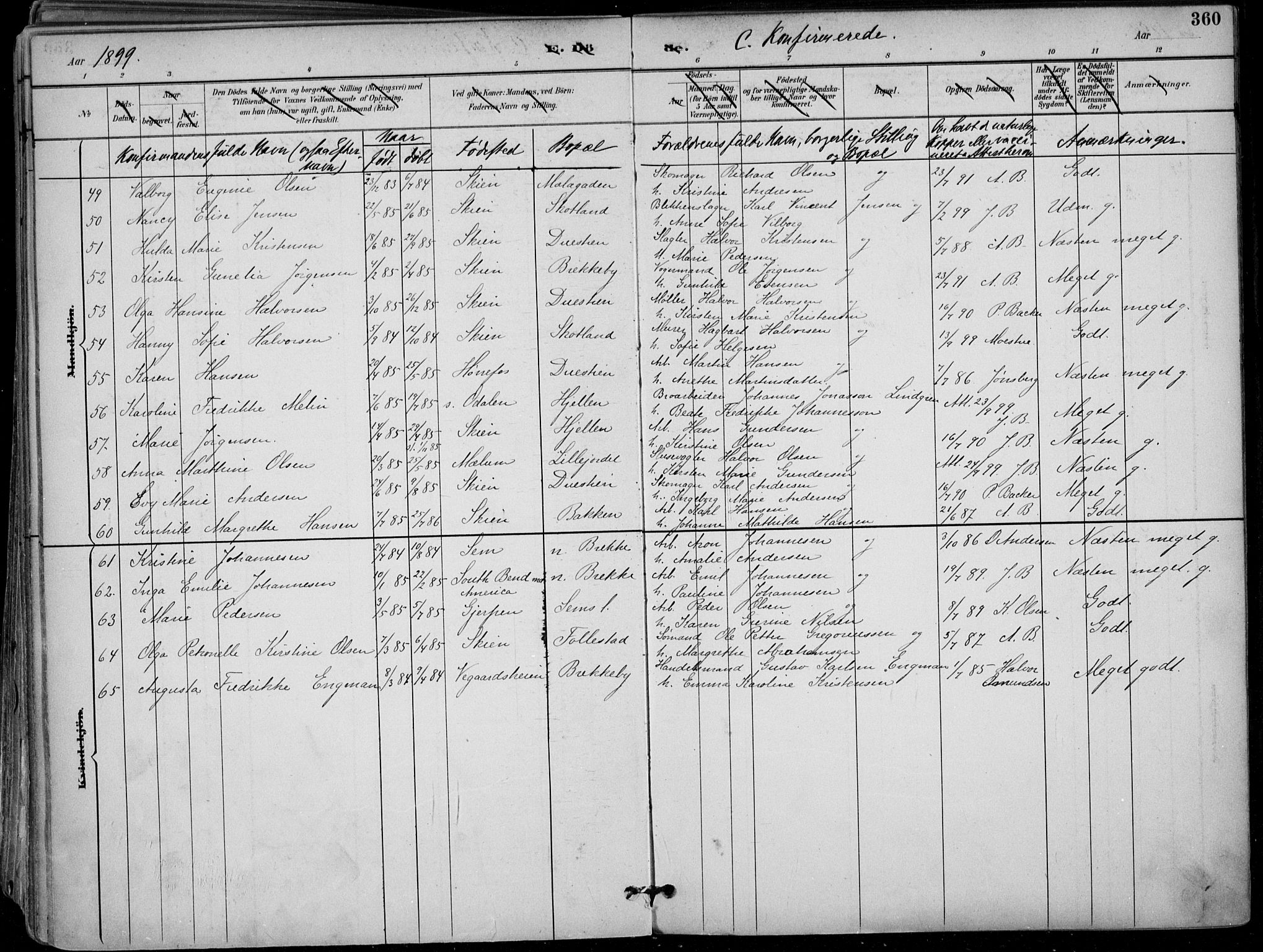 Skien kirkebøker, AV/SAKO-A-302/F/Fa/L0010: Ministerialbok nr. 10, 1891-1899, s. 360