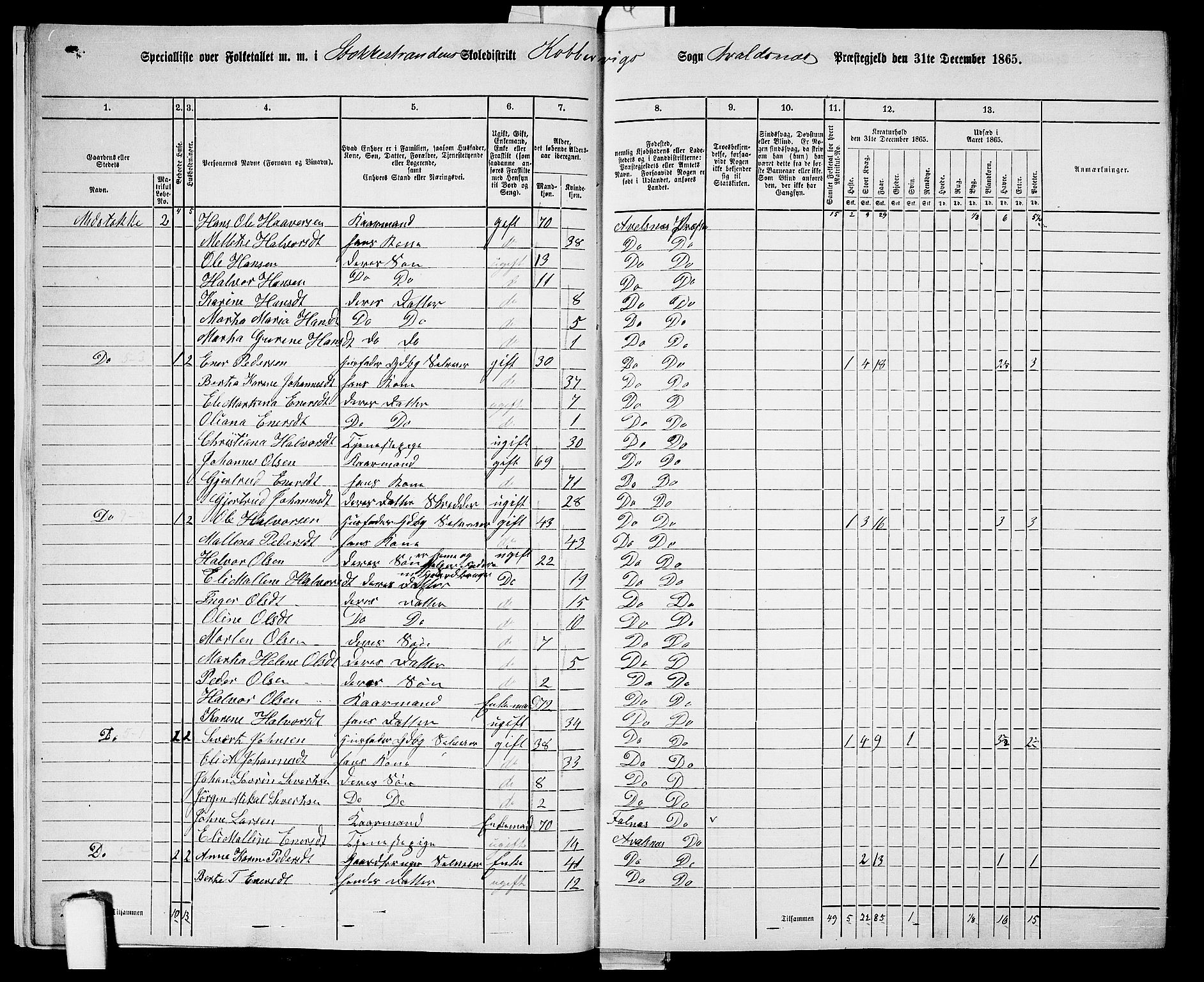RA, Folketelling 1865 for 1147P Avaldsnes prestegjeld, 1865, s. 15