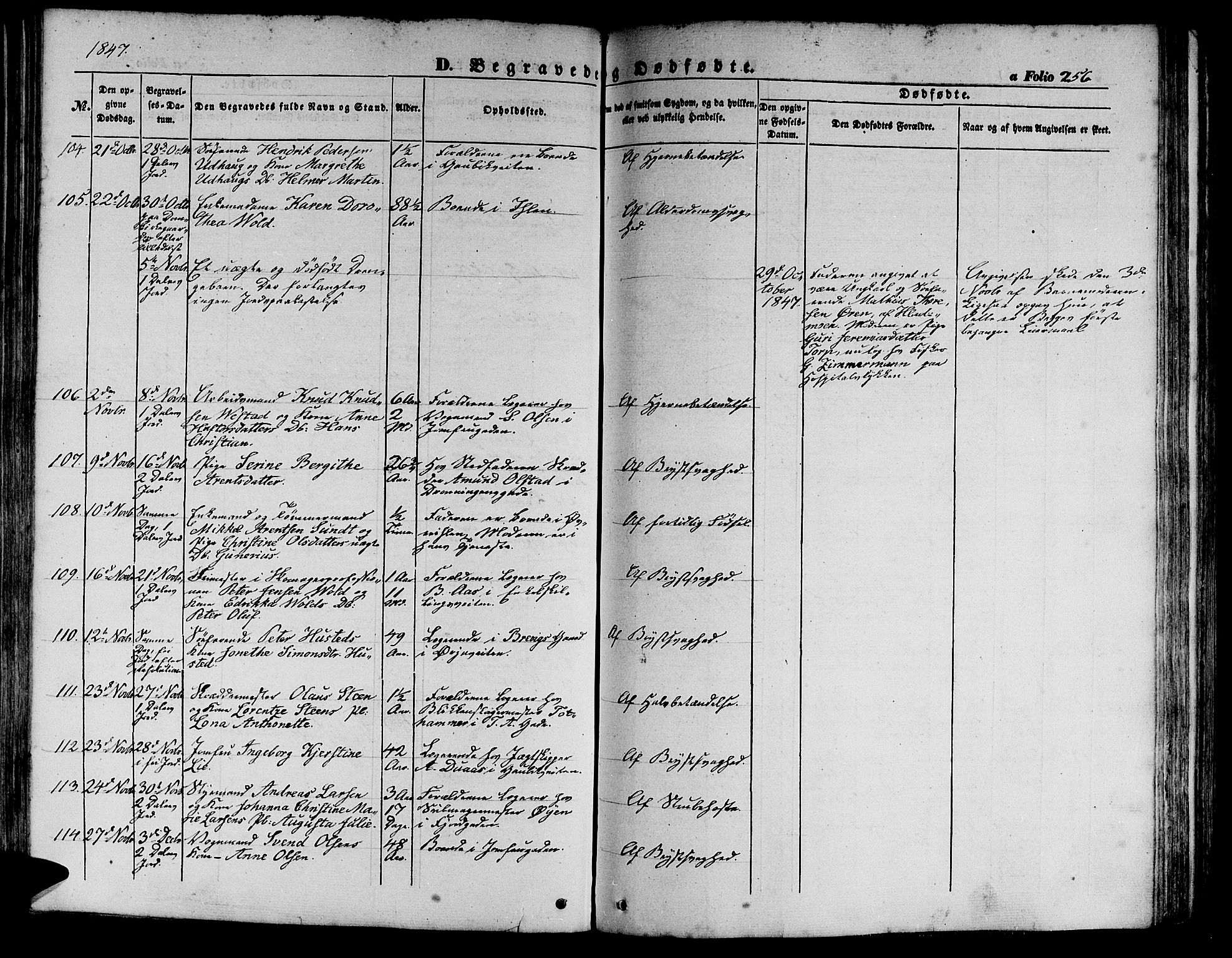 Ministerialprotokoller, klokkerbøker og fødselsregistre - Sør-Trøndelag, AV/SAT-A-1456/602/L0137: Klokkerbok nr. 602C05, 1846-1856, s. 256