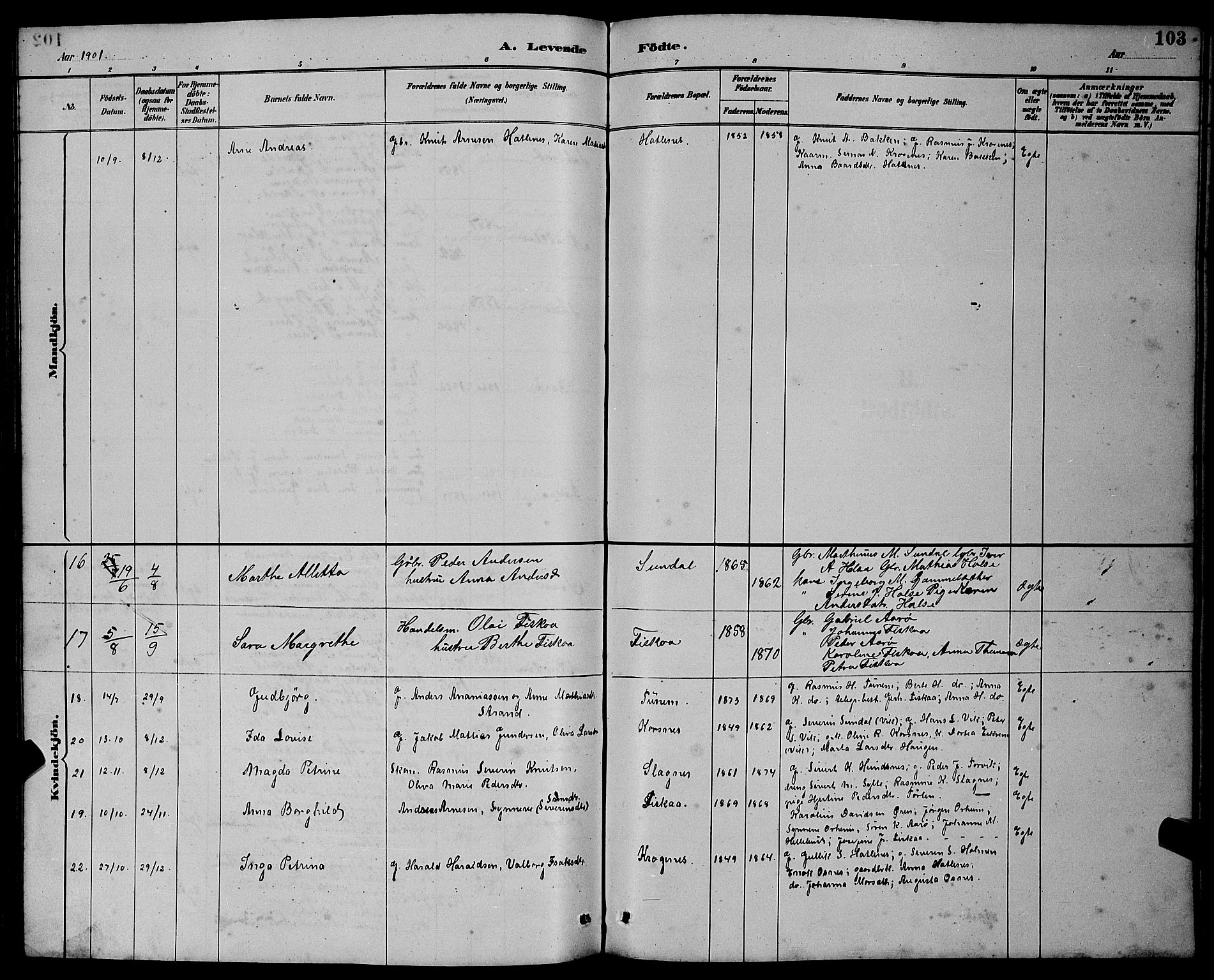 Ministerialprotokoller, klokkerbøker og fødselsregistre - Møre og Romsdal, AV/SAT-A-1454/501/L0017: Klokkerbok nr. 501C03, 1885-1901, s. 104