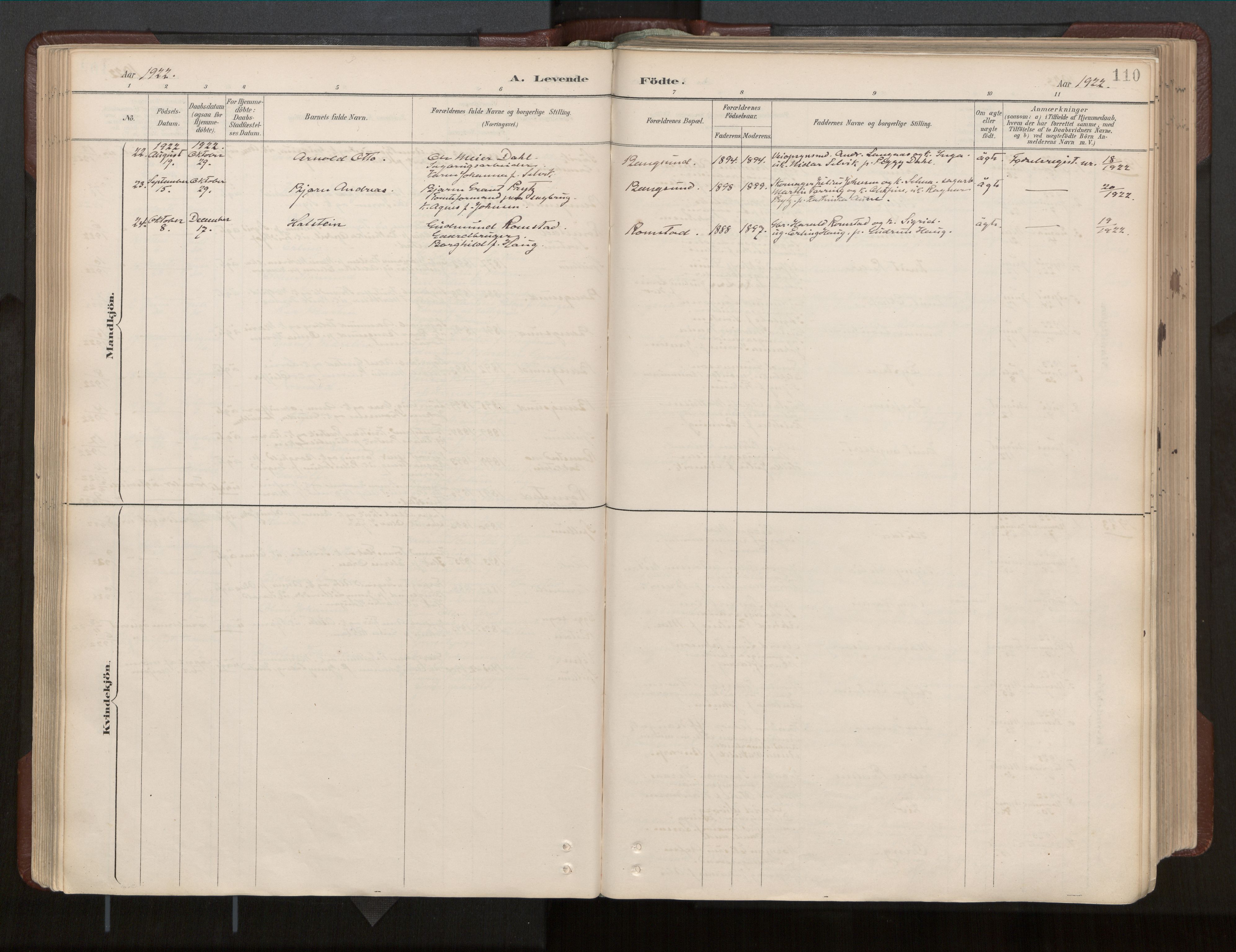 Ministerialprotokoller, klokkerbøker og fødselsregistre - Nord-Trøndelag, AV/SAT-A-1458/770/L0589: Ministerialbok nr. 770A03, 1887-1929, s. 110