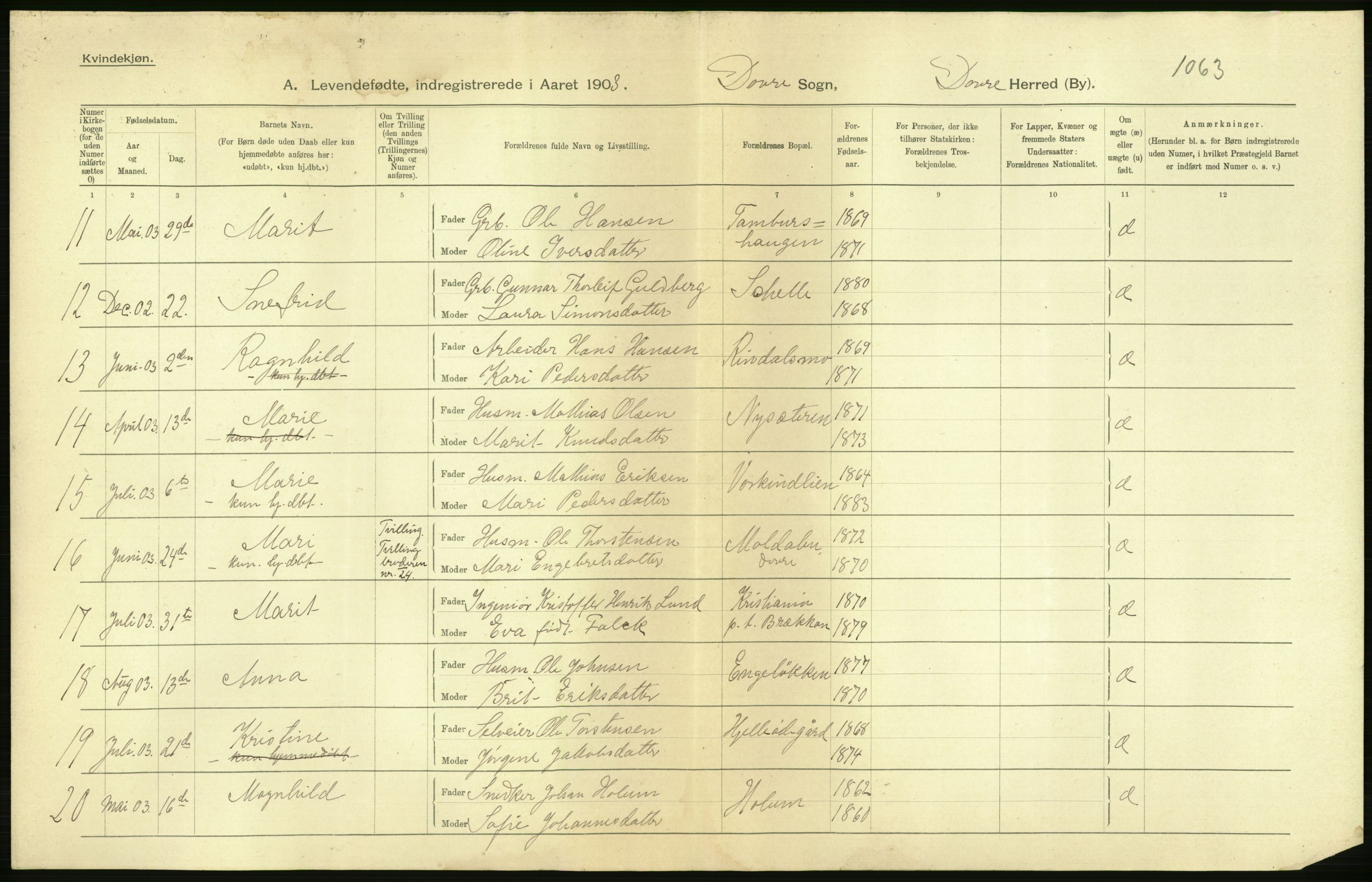 Statistisk sentralbyrå, Sosiodemografiske emner, Befolkning, AV/RA-S-2228/D/Df/Dfa/Dfaa/L0006: Kristians amt: Fødte, gifte, døde, 1903, s. 6