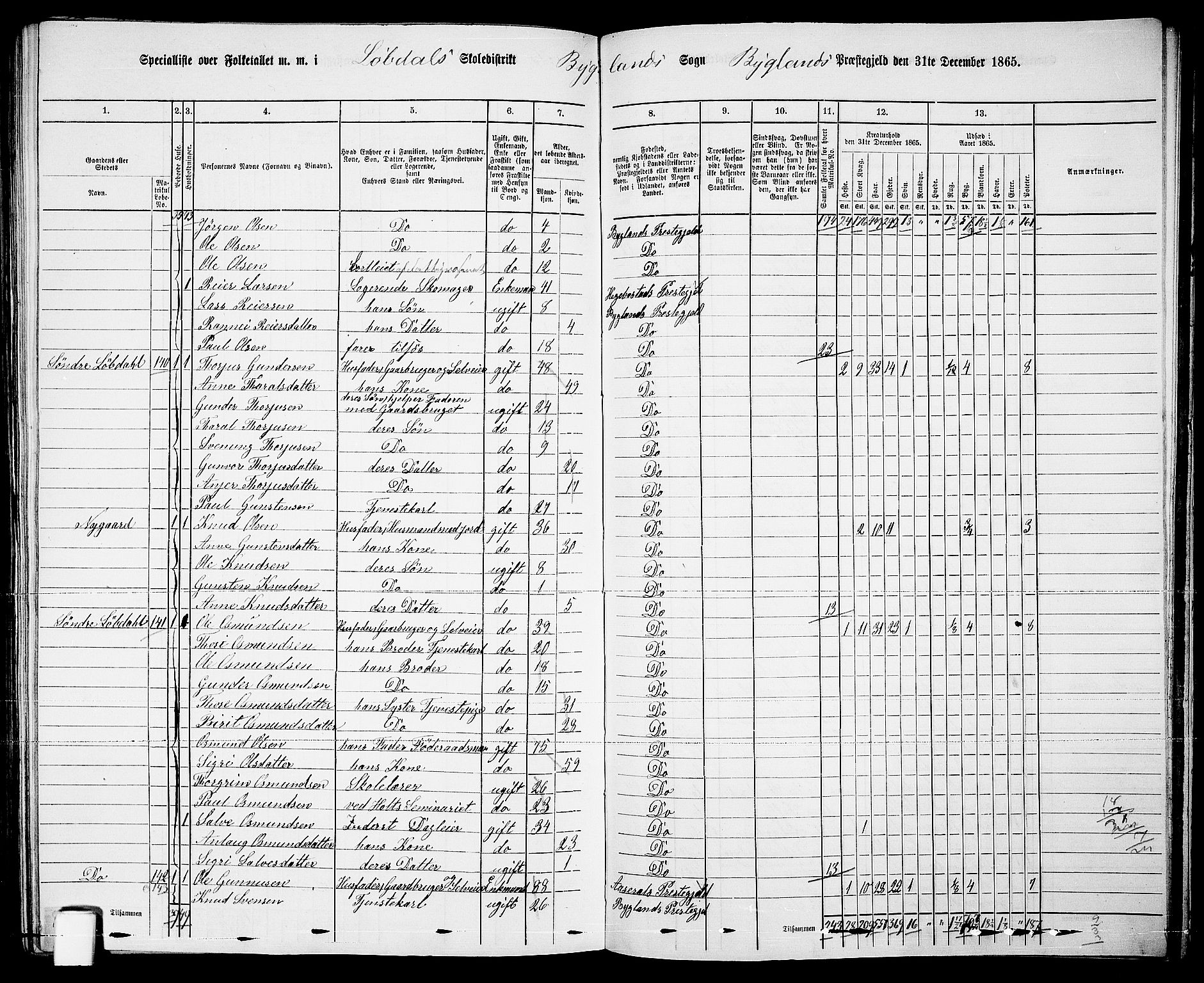 RA, Folketelling 1865 for 0938P Bygland prestegjeld, 1865, s. 75